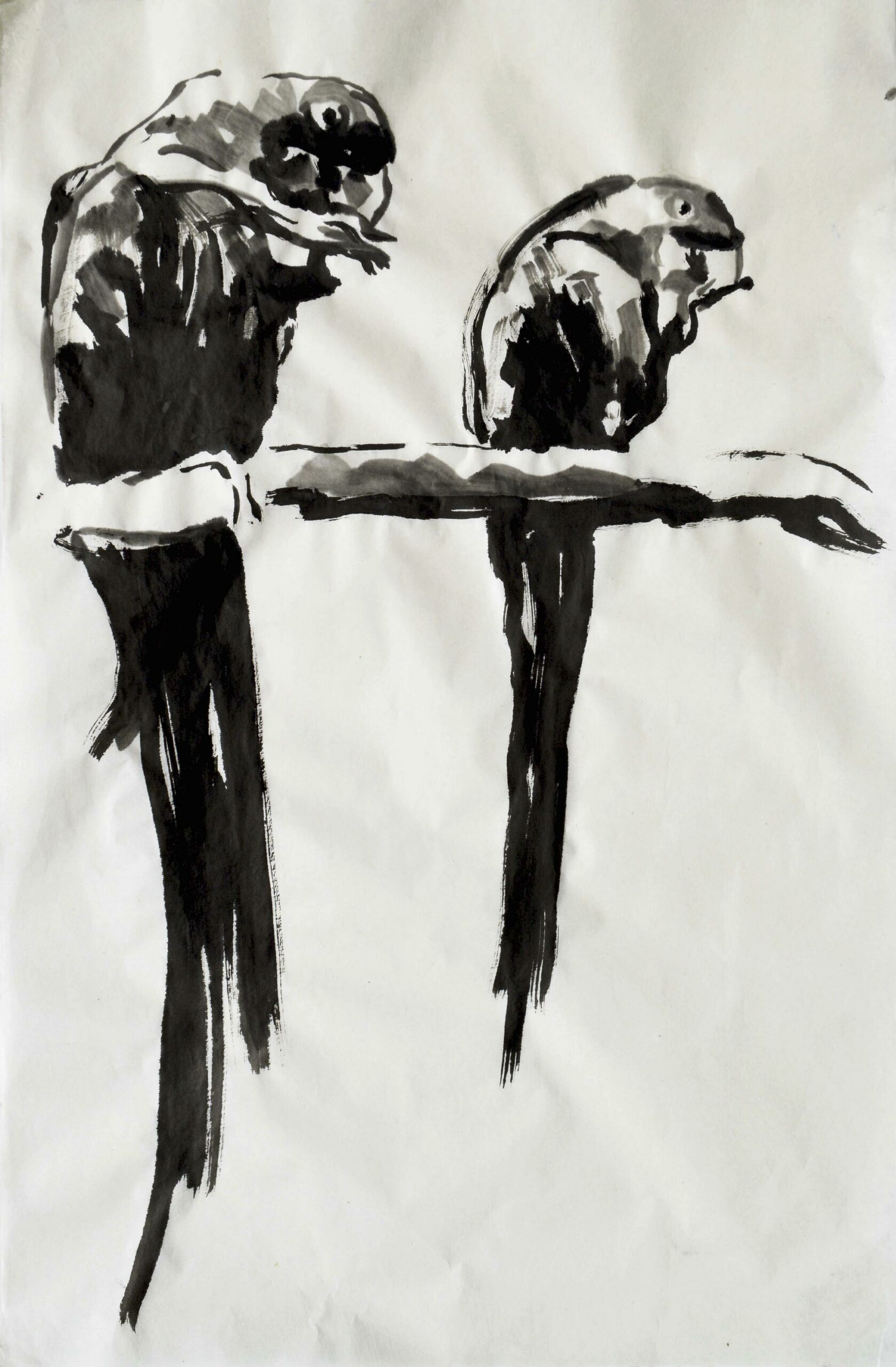 Angelika T&oacute;th 