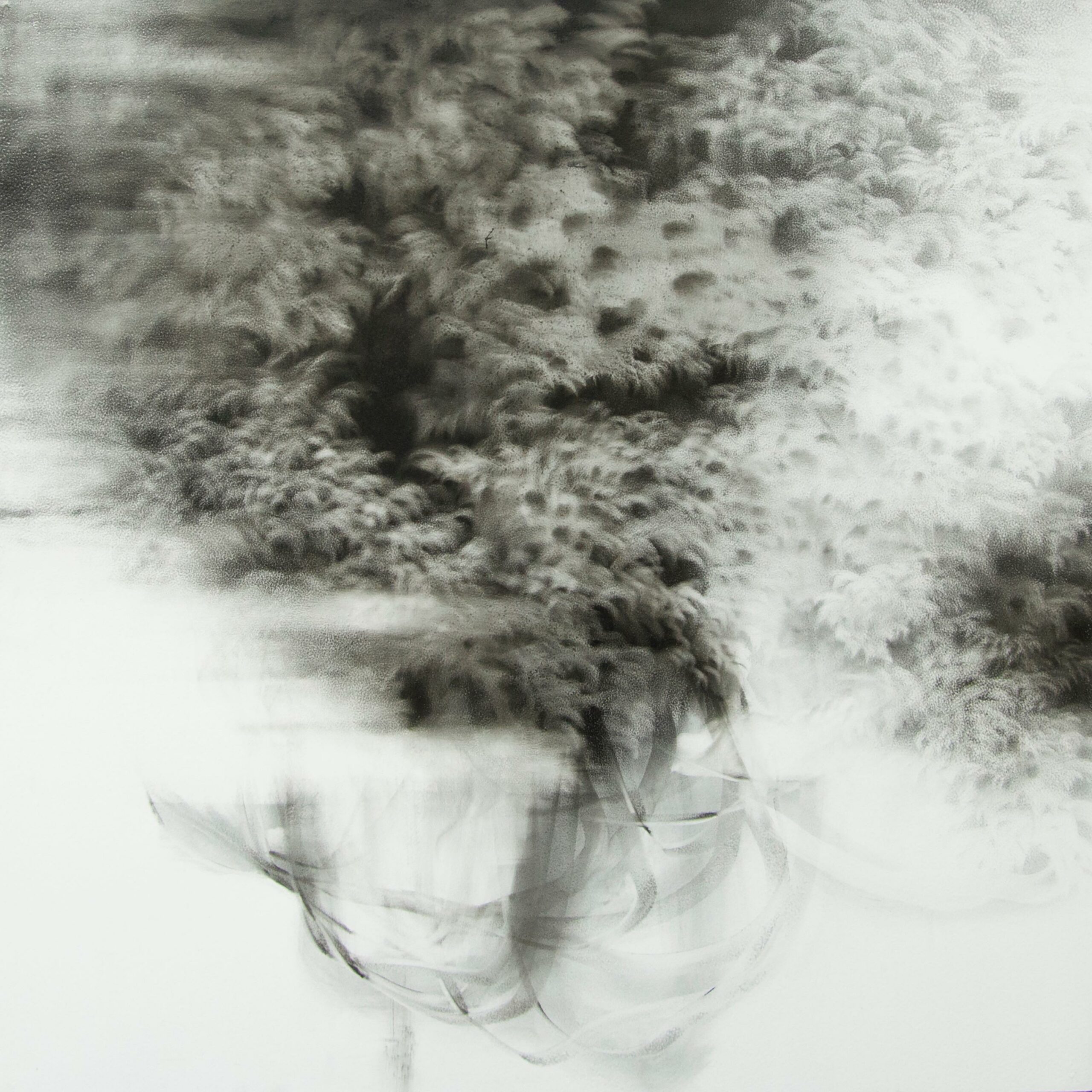 g19][173d - Giulia Dall'Olio 