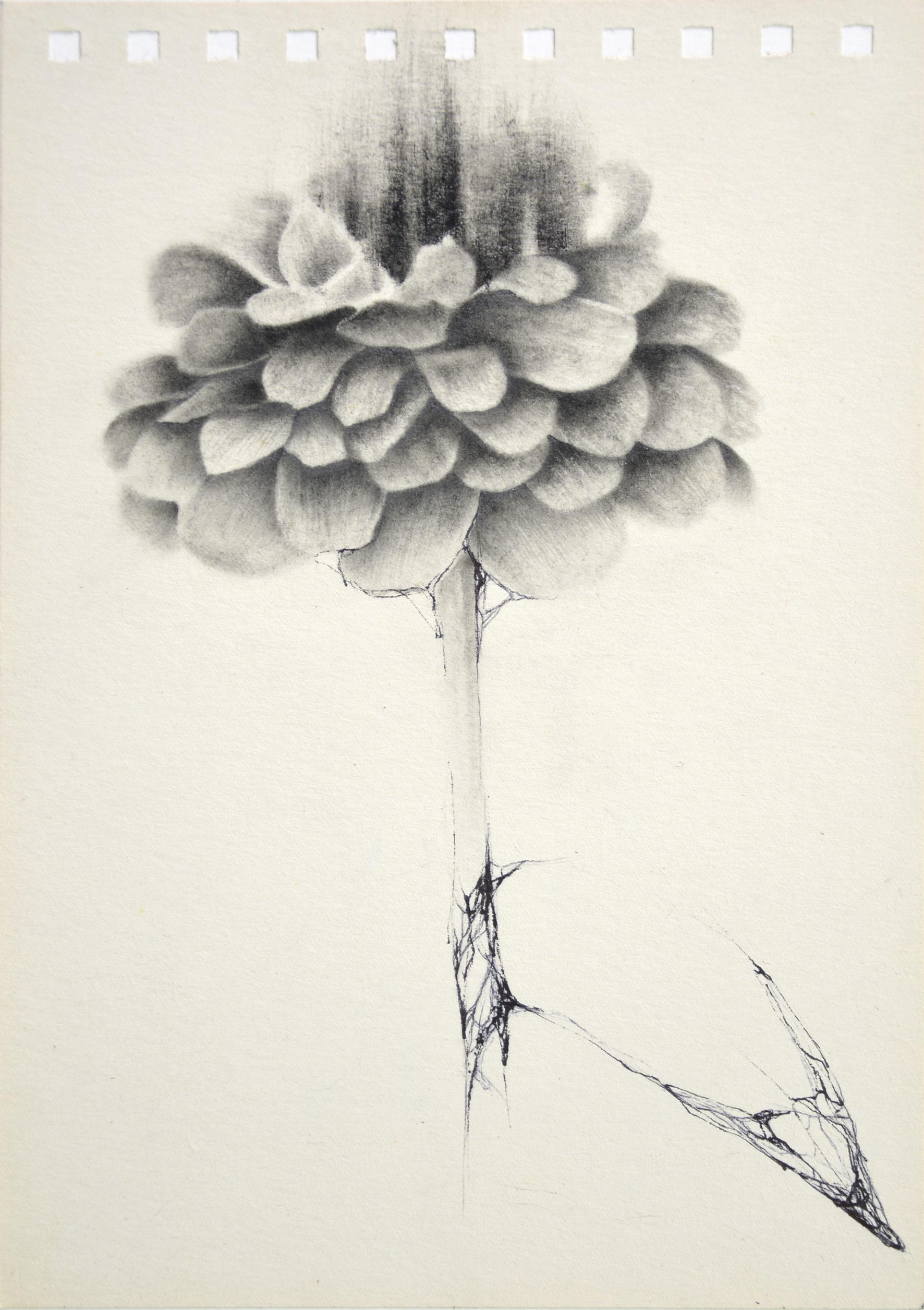 g19][28d - Giulia Dall'Olio 