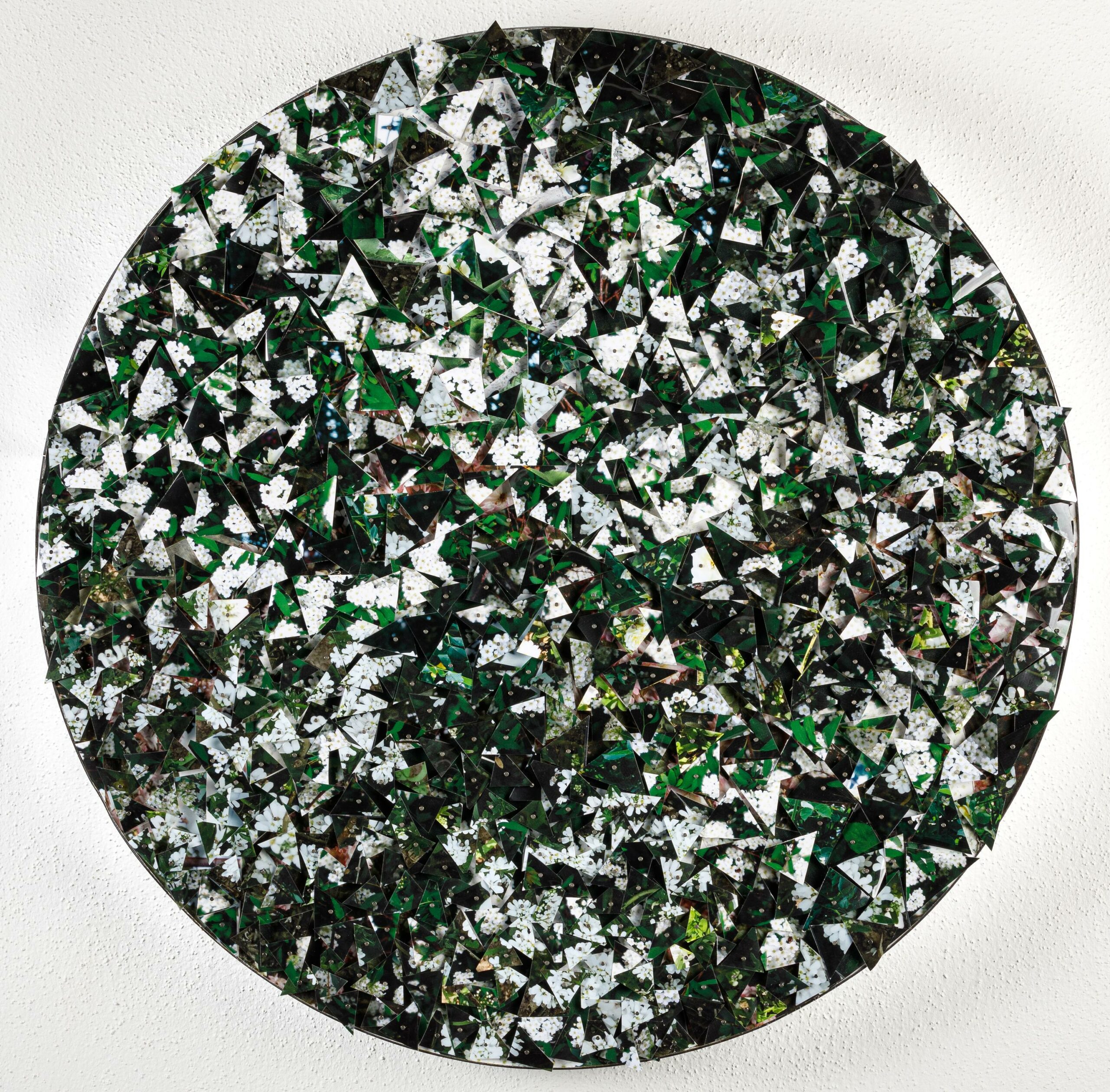 White Garden - Mabel Poblet 