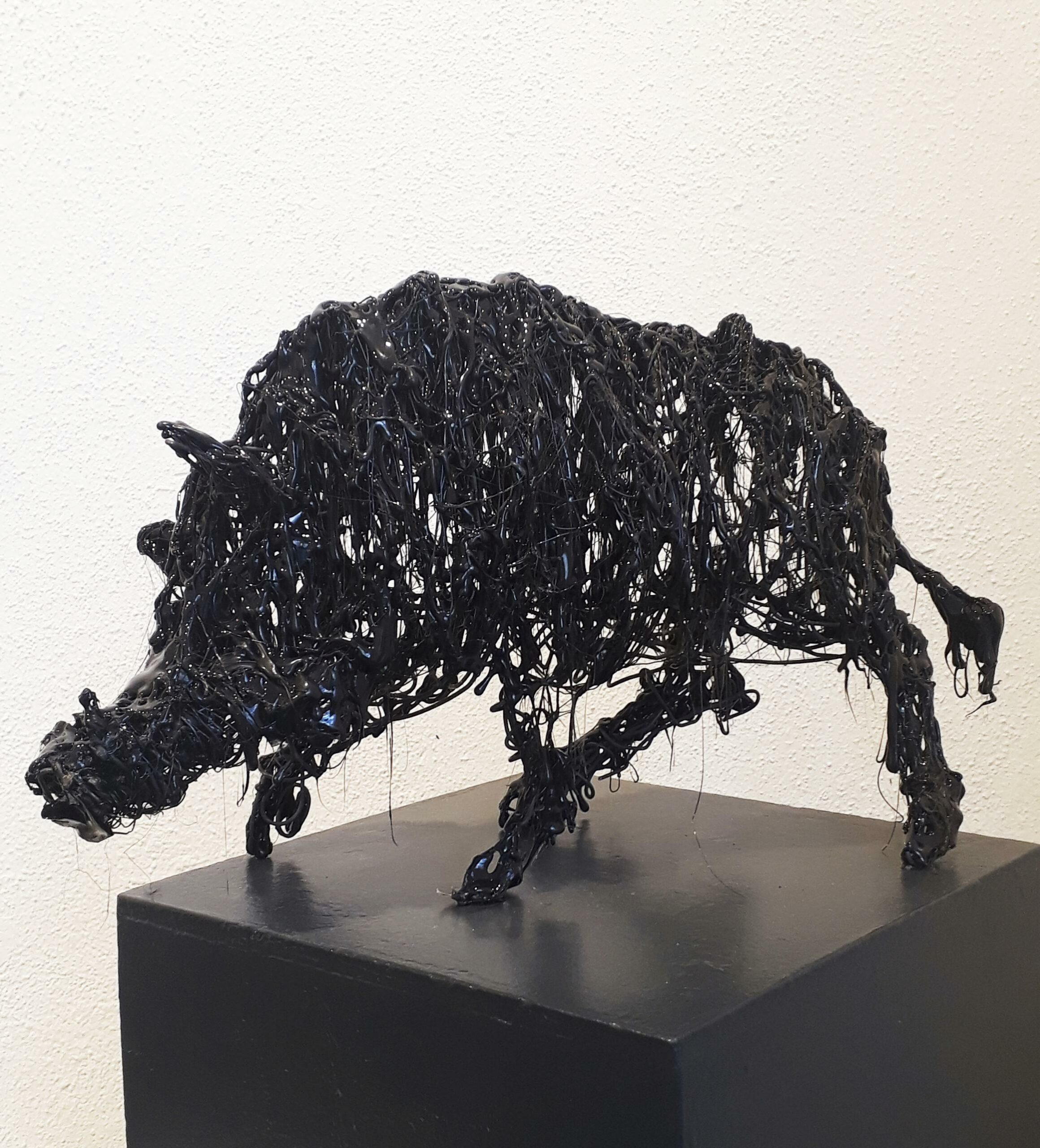 Cinghiale nero - Antonio Massarutto 