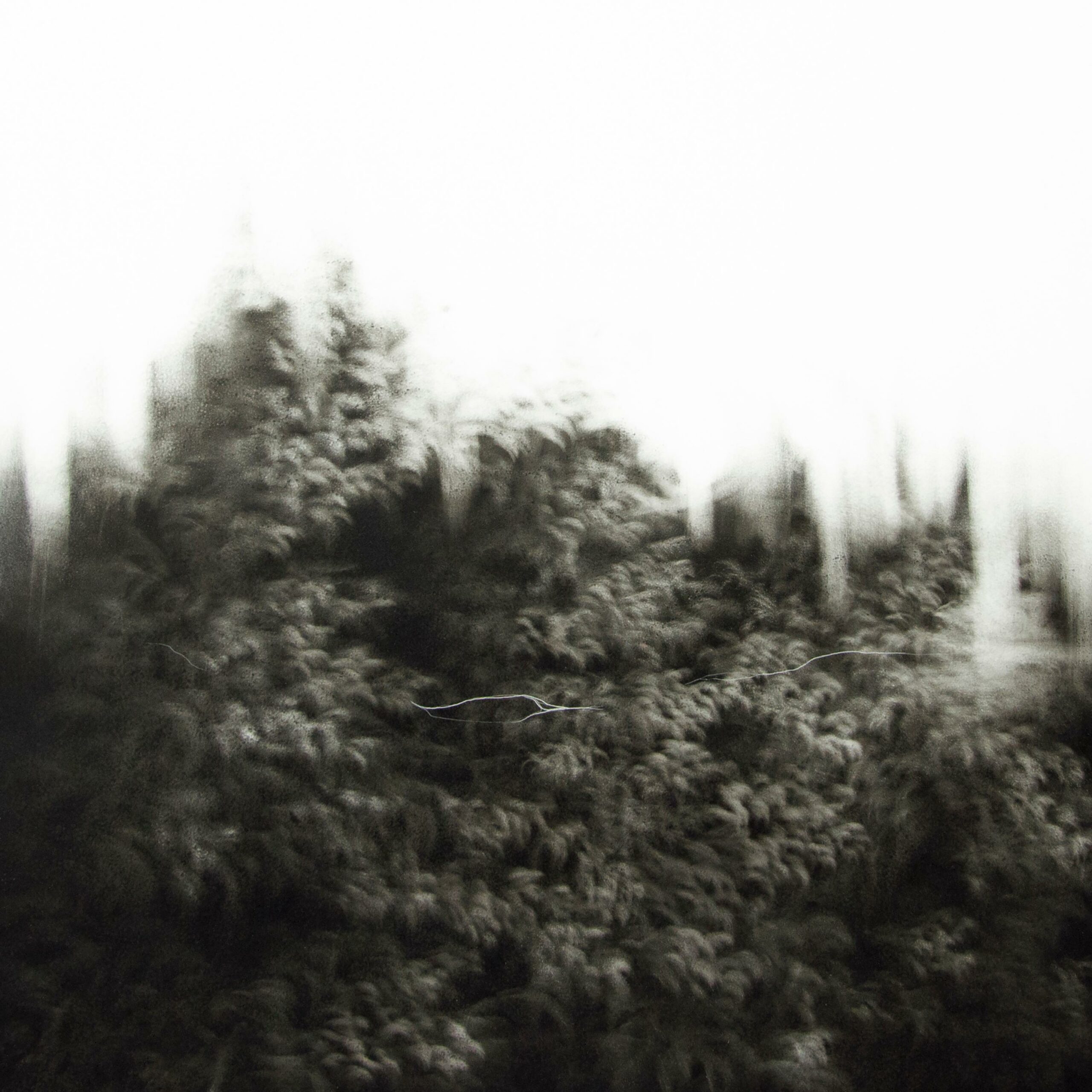 g19][1717d - Giulia Dall'Olio 