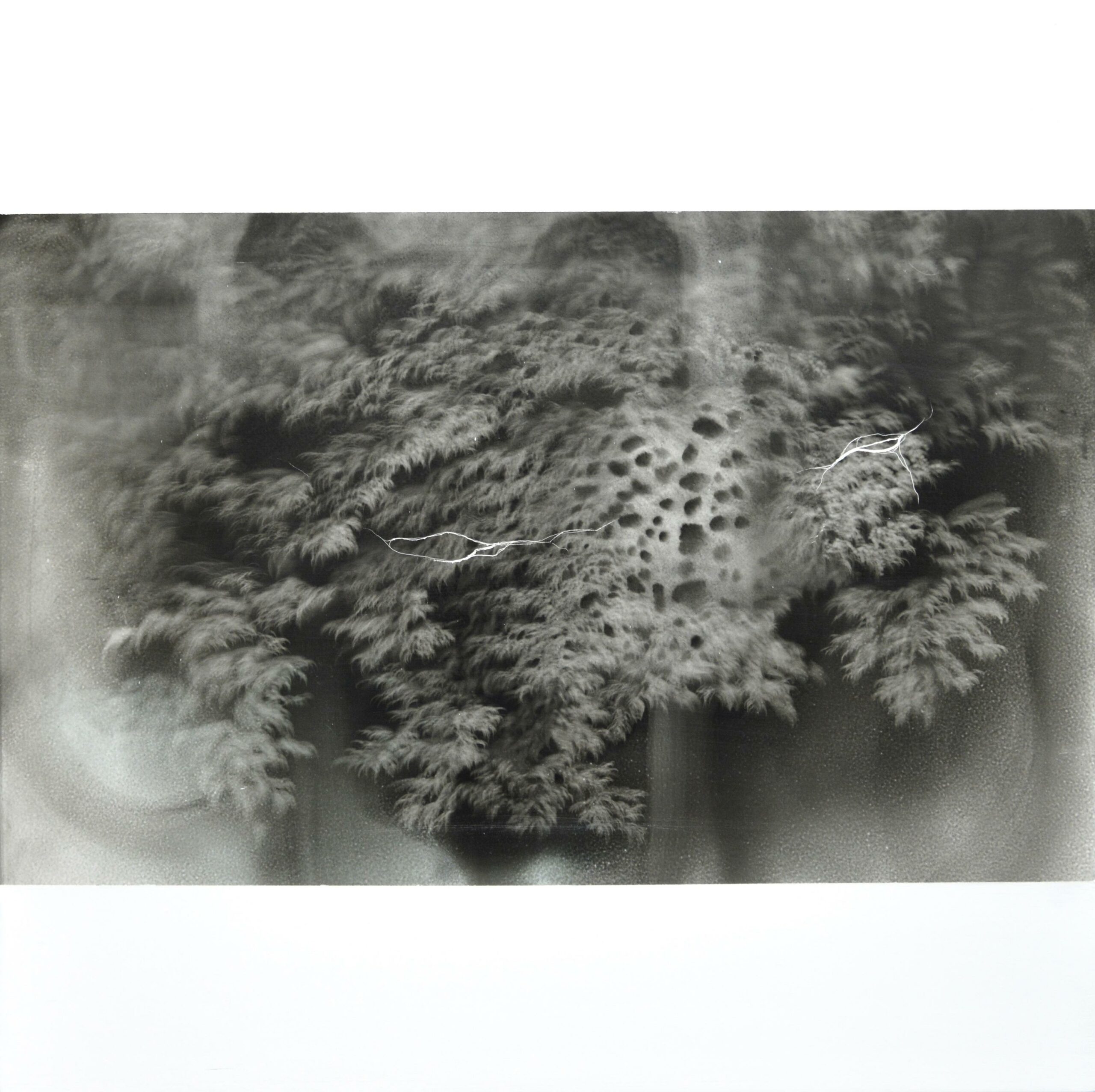 g19][164d - Giulia Dall'Olio 