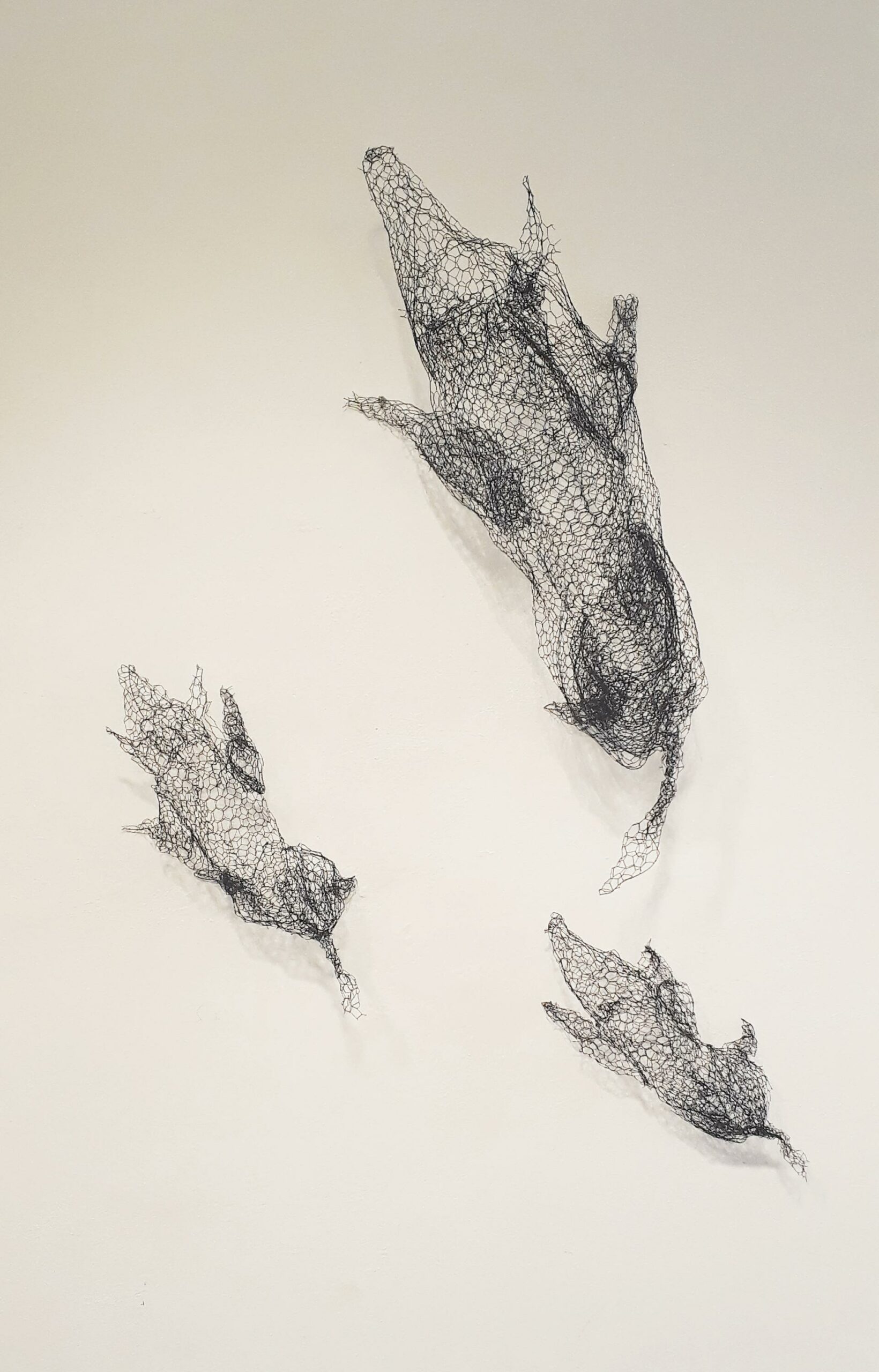 Cinghiale - Antonio Massarutto 