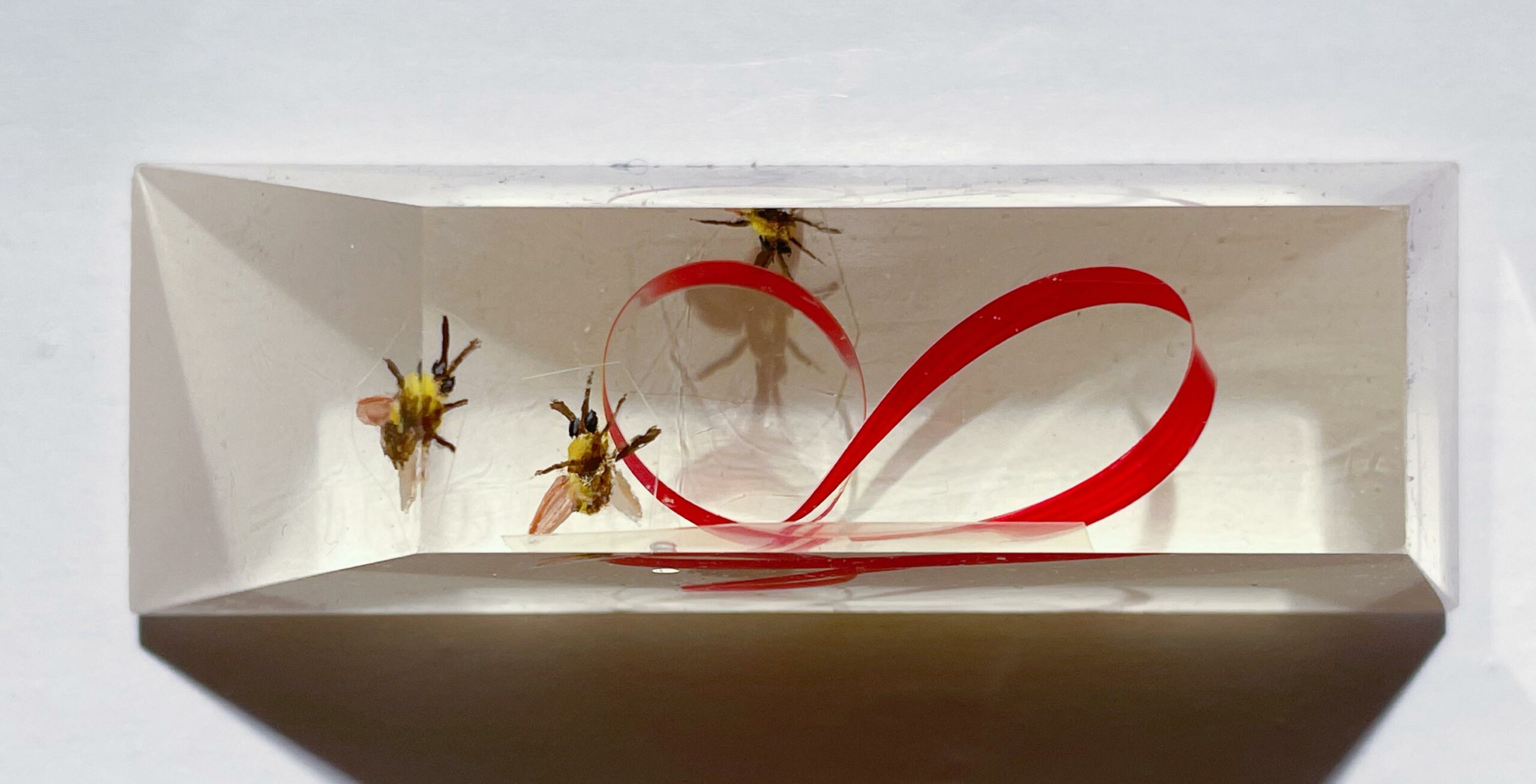 Indescribable scene &ndash; JAK.IS1674.2021 - atelierJAK 