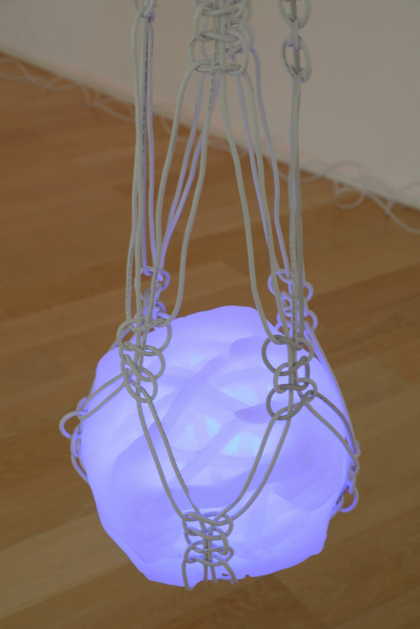 Low Affinity - Johanna Strobel 