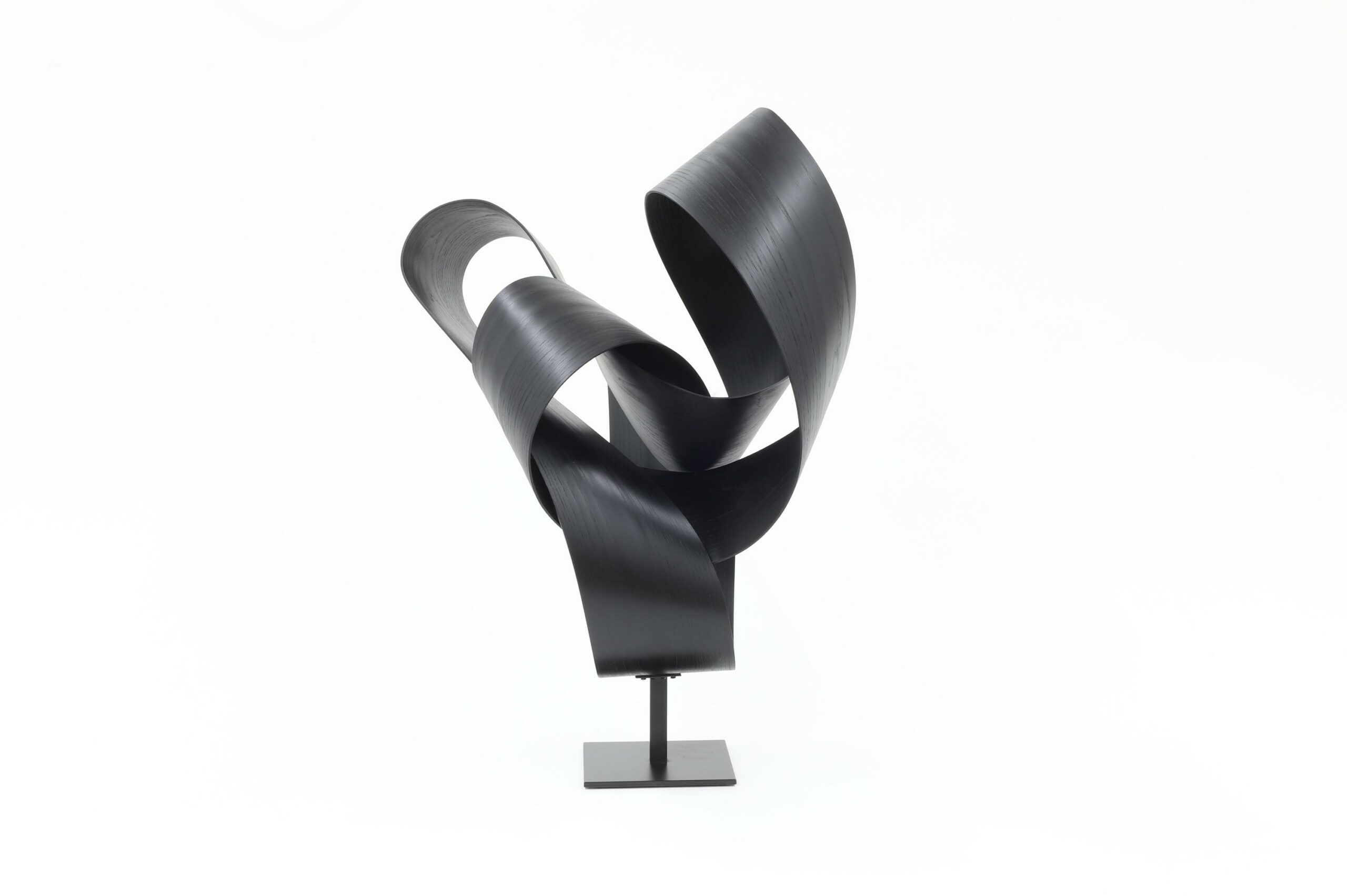 Sinuous 61 - Jeremy Holmes 