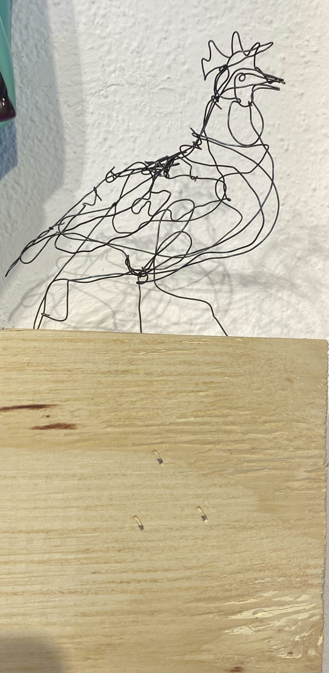 Gallo - Antonio Massarutto 