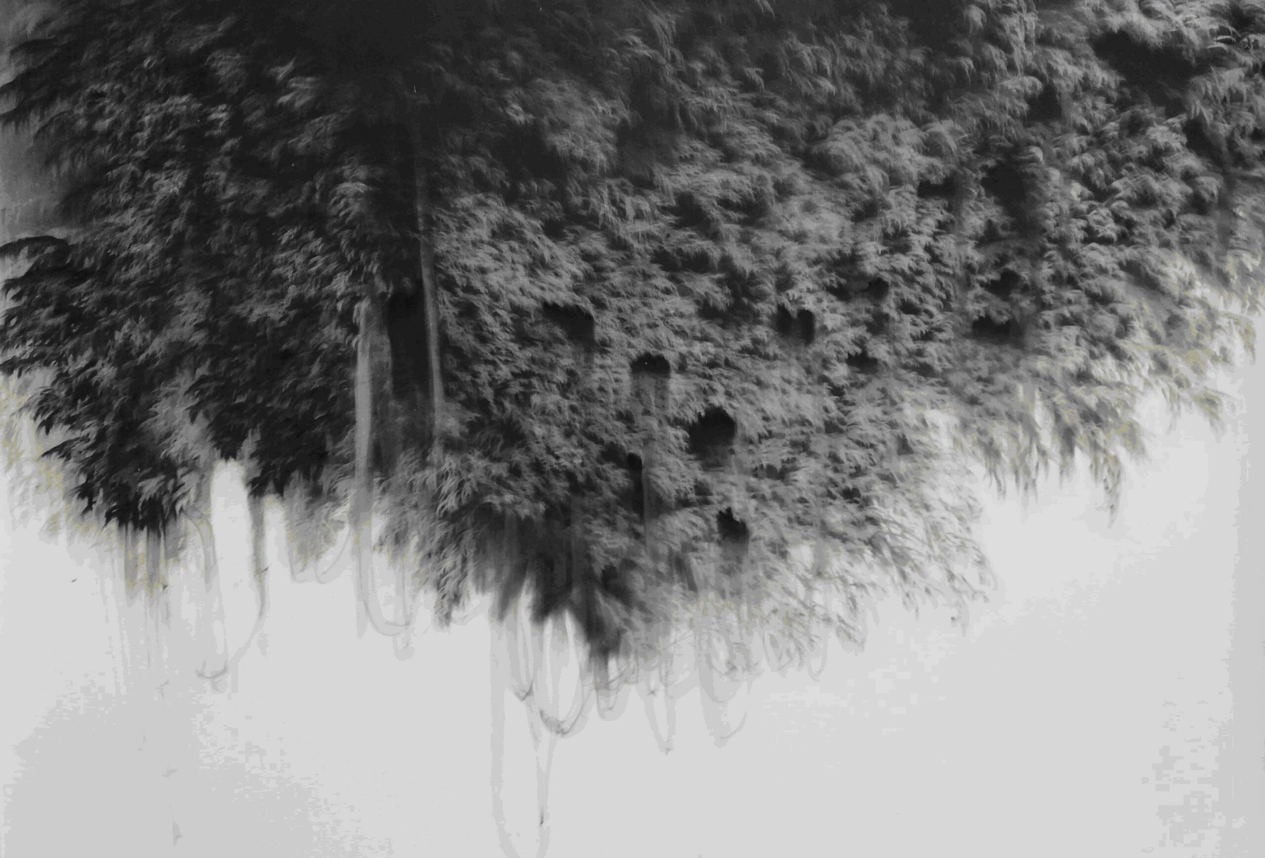 g19][101d - Giulia Dall'Olio 