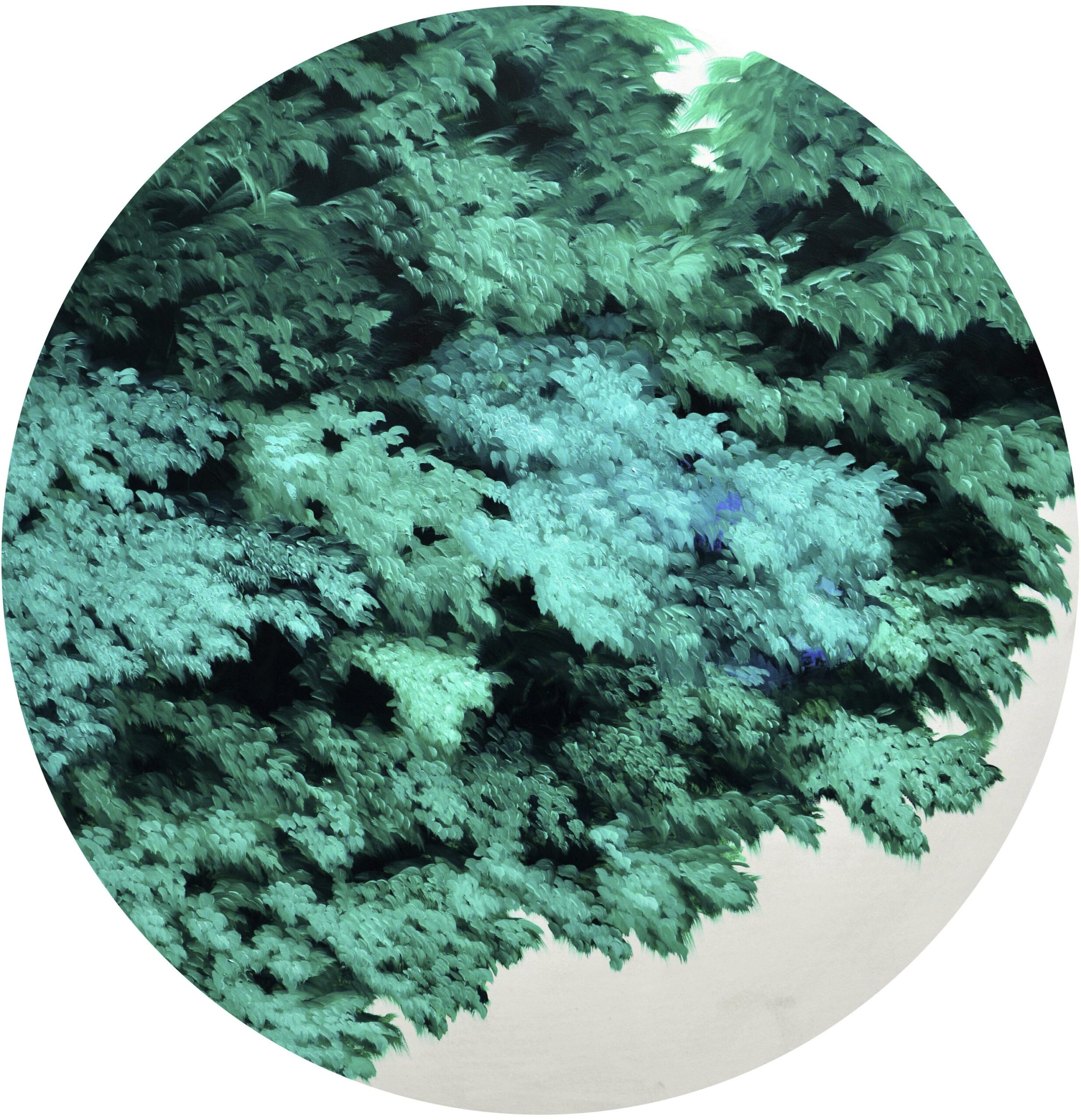 g8][66d - Giulia Dall'Olio 