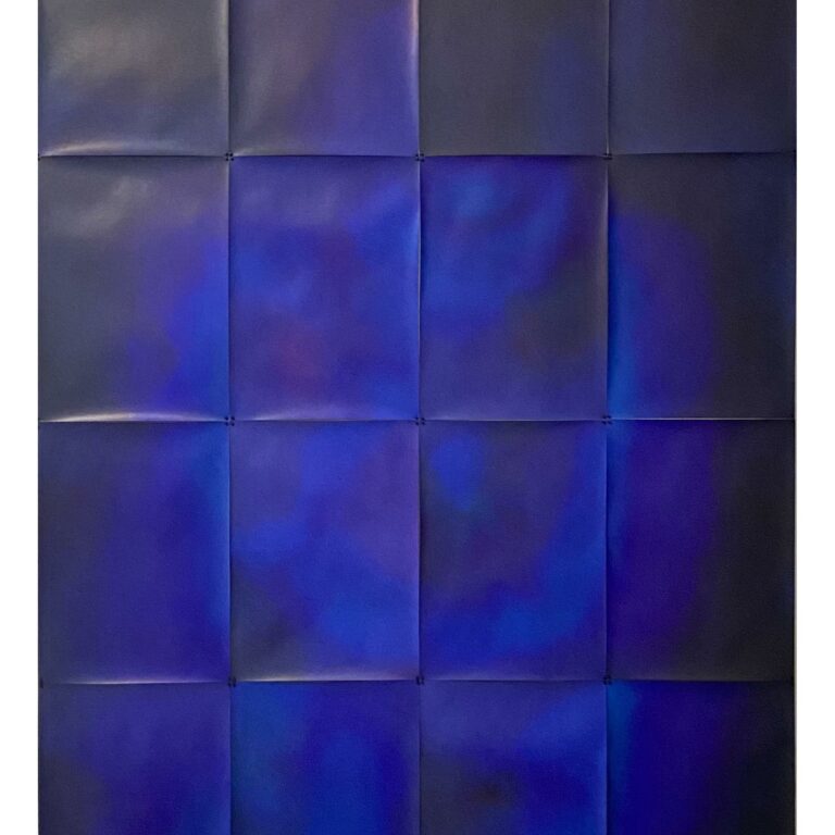 THE COLOUR OUT OF SPACE - Silvia Inselvini 