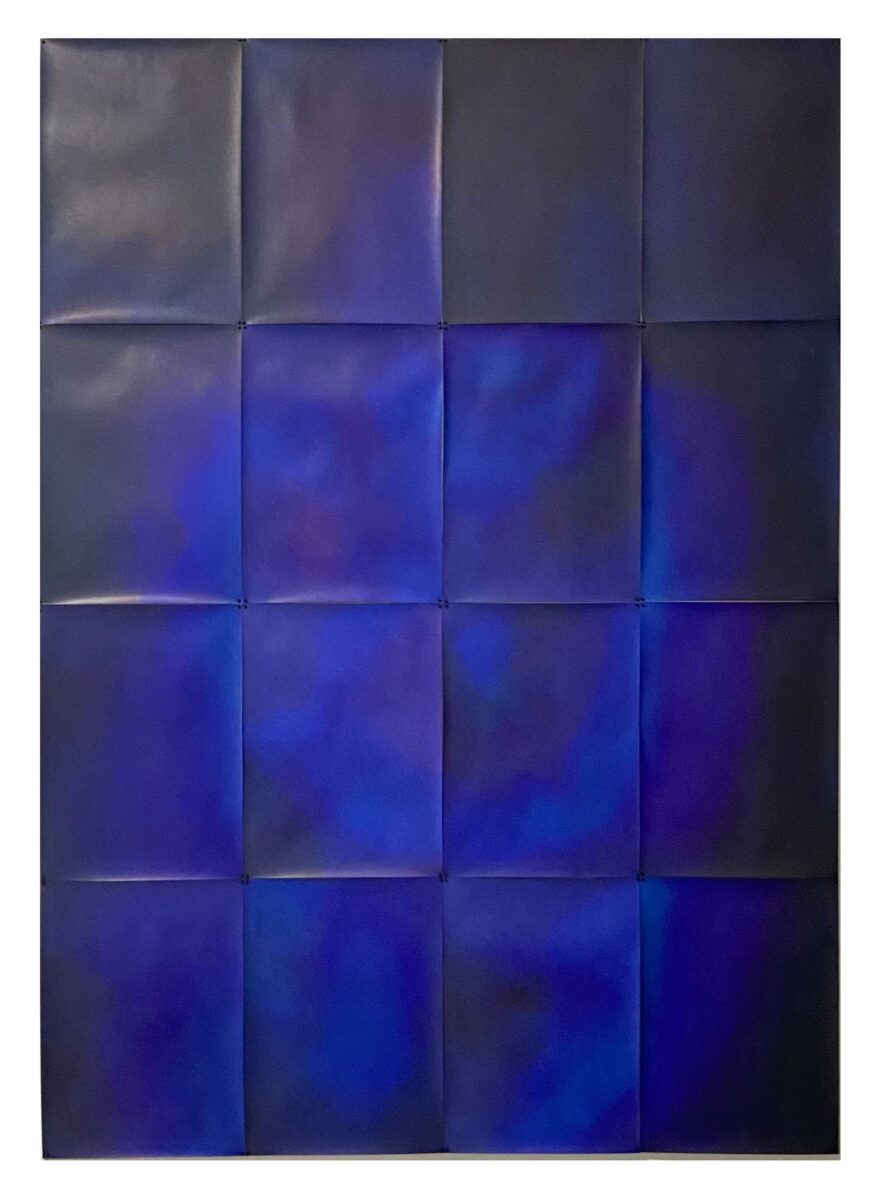 THE COLOUR OUT OF SPACE - Silvia Inselvini 