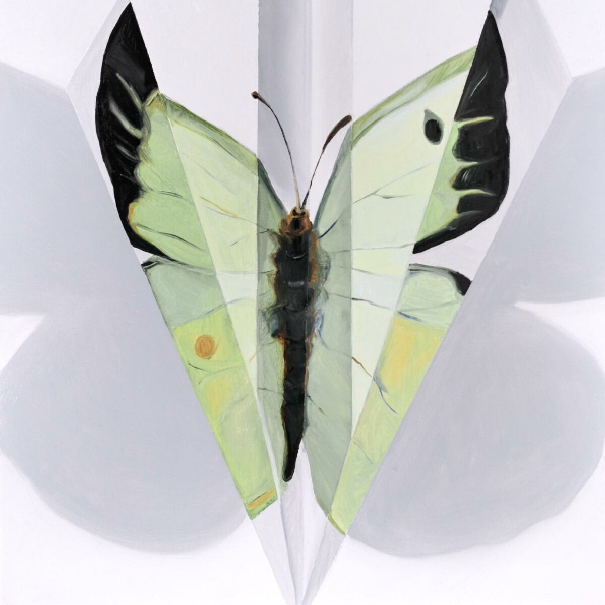 FALTER - Johanna Strobel 