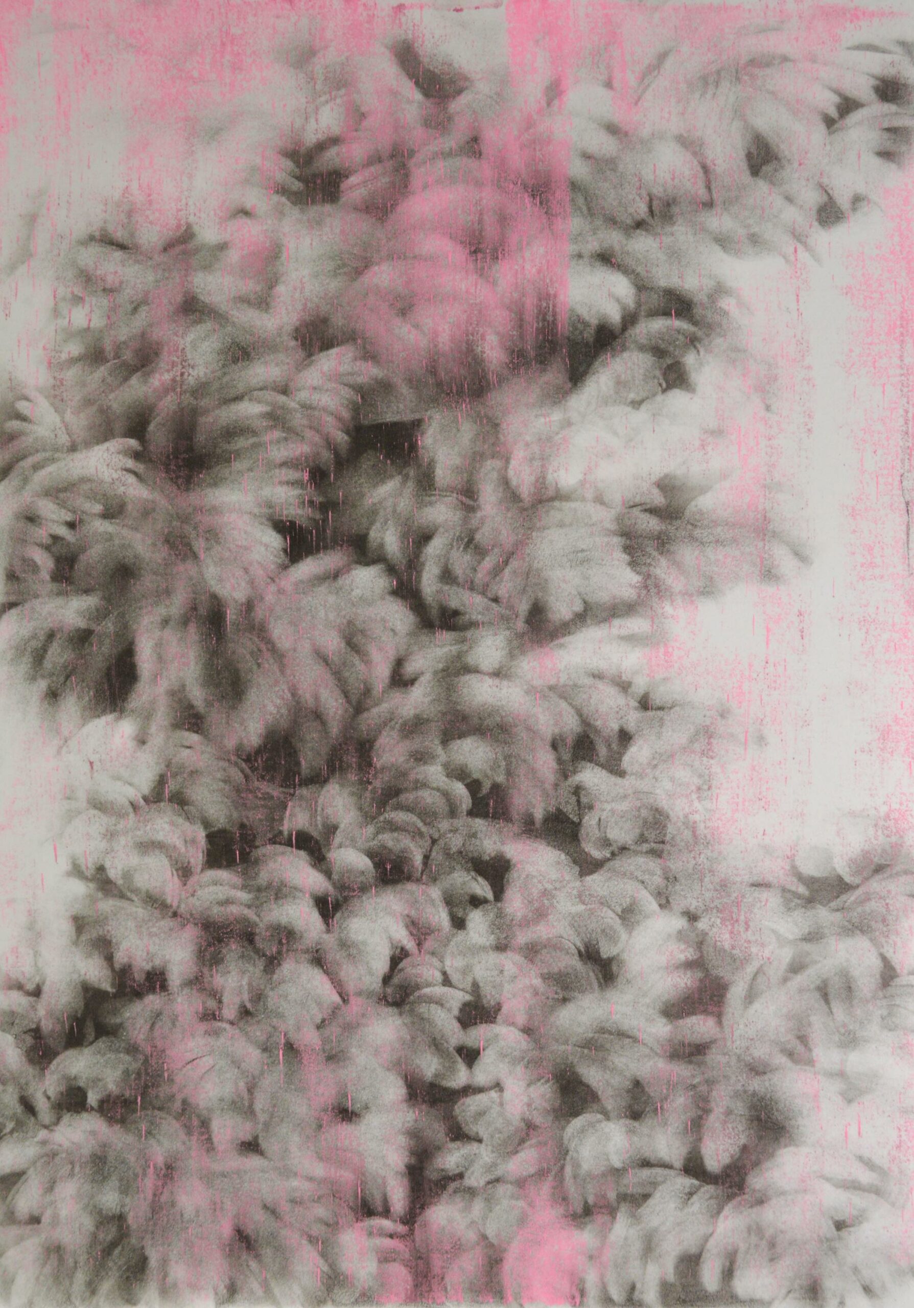 g 19][360 d - Giulia Dall'Olio 