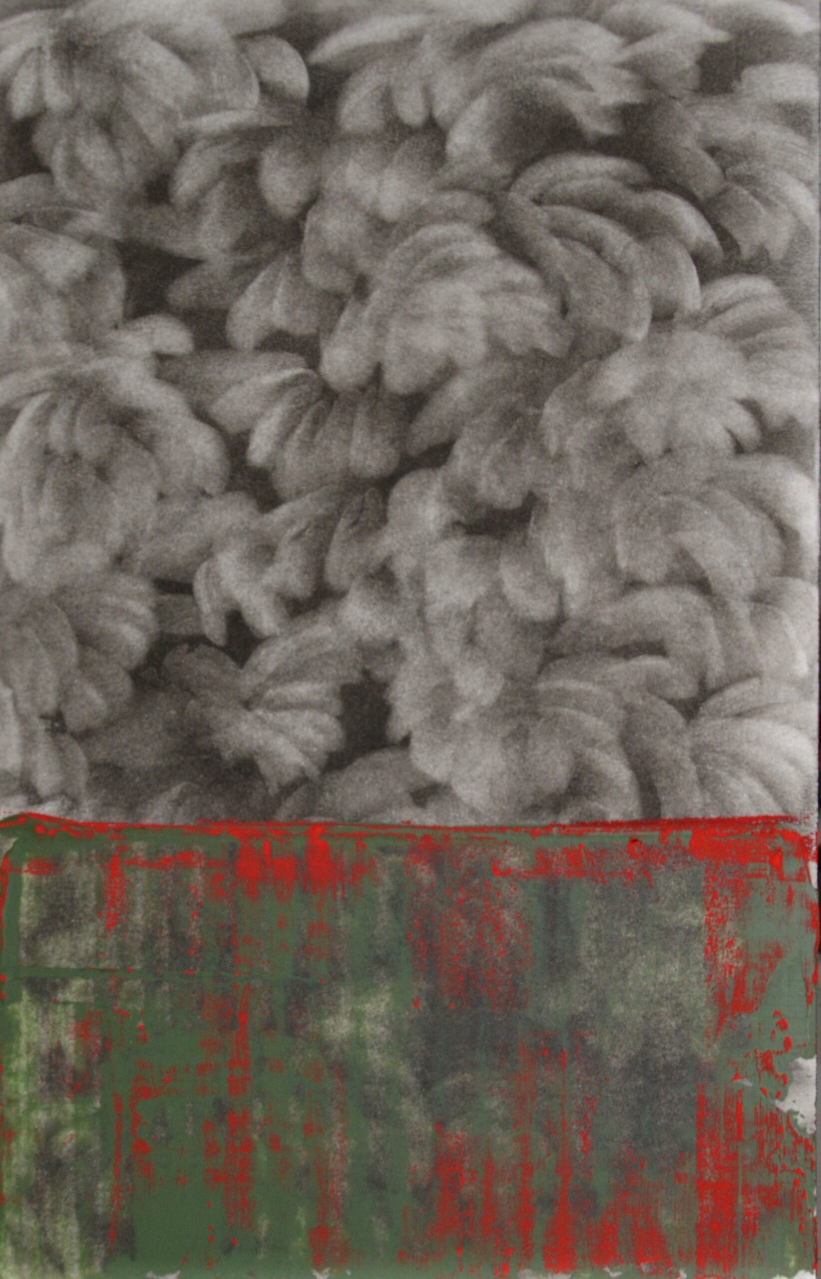 g 19][372 d - Giulia Dall'Olio 