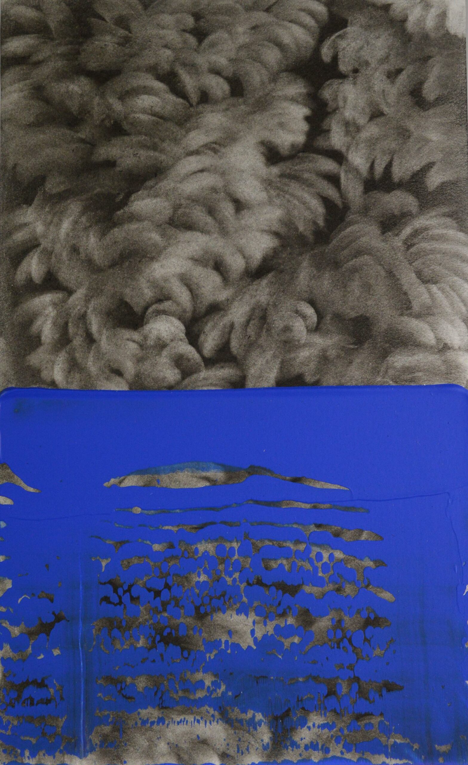 g 19][371 d - Giulia Dall'Olio 