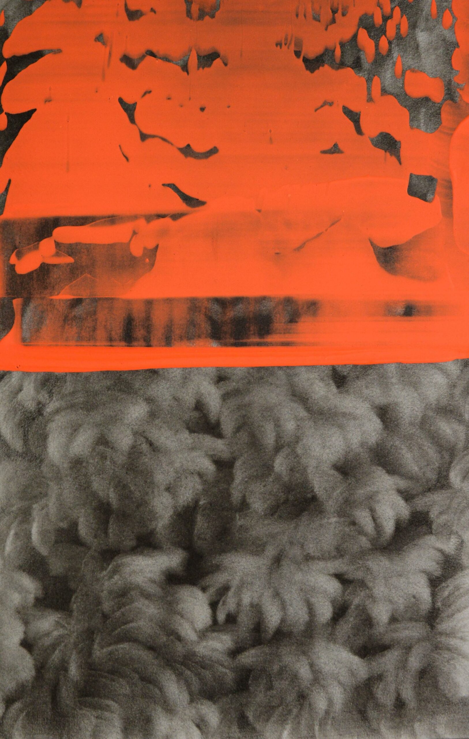 g 19][368 d - Giulia Dall'Olio 