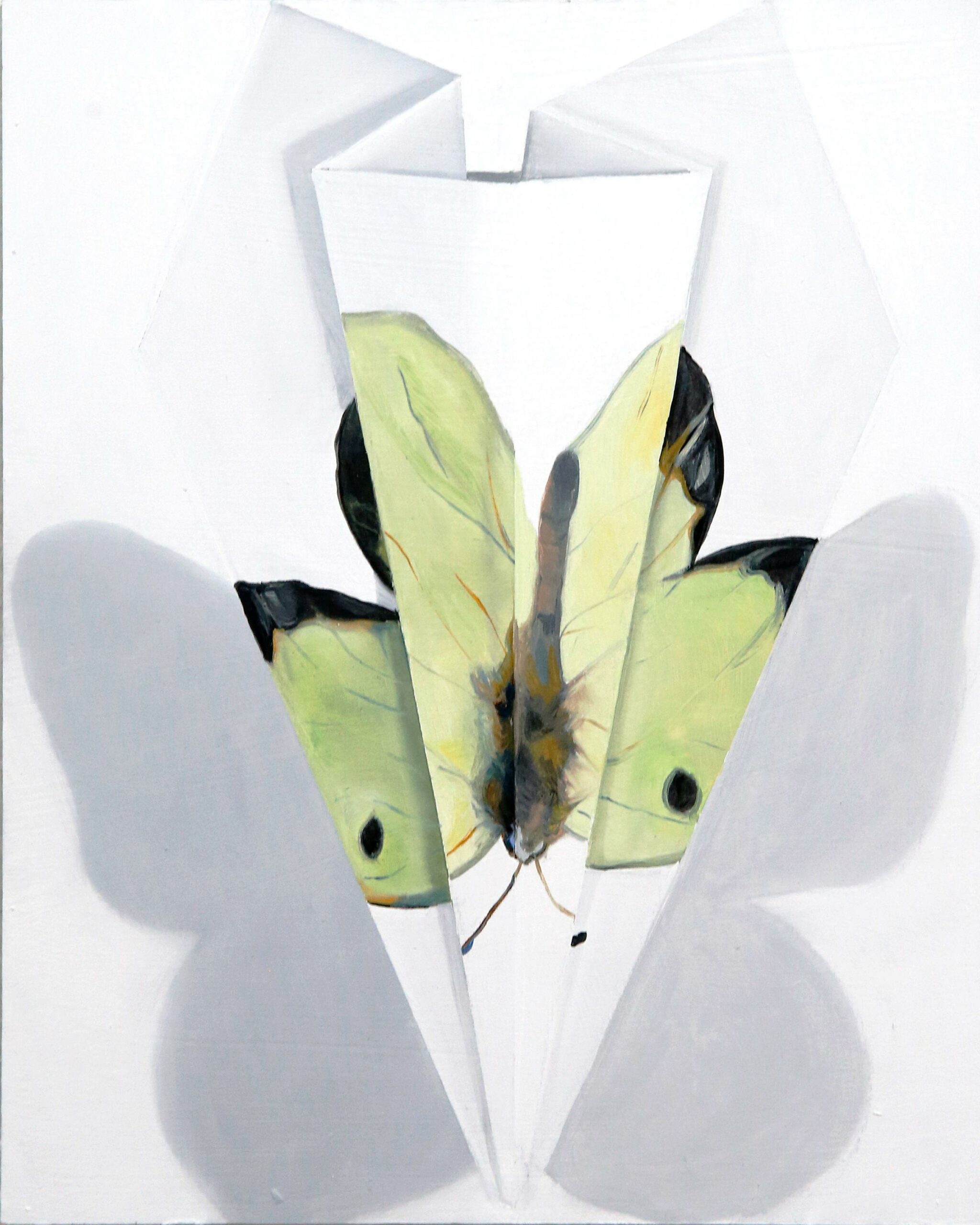 Falter IX - Johanna Strobel 