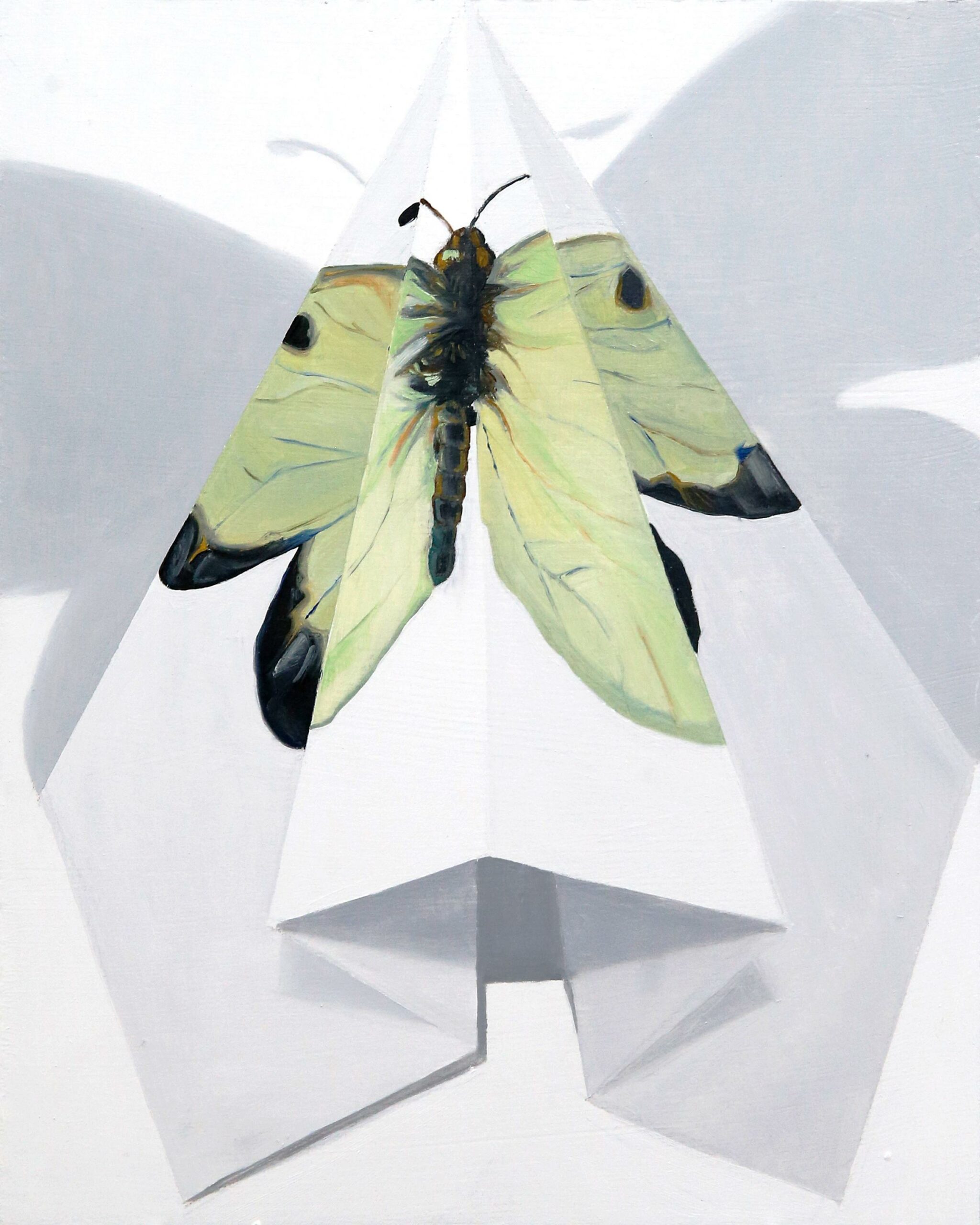 Falter IV - Johanna Strobel 