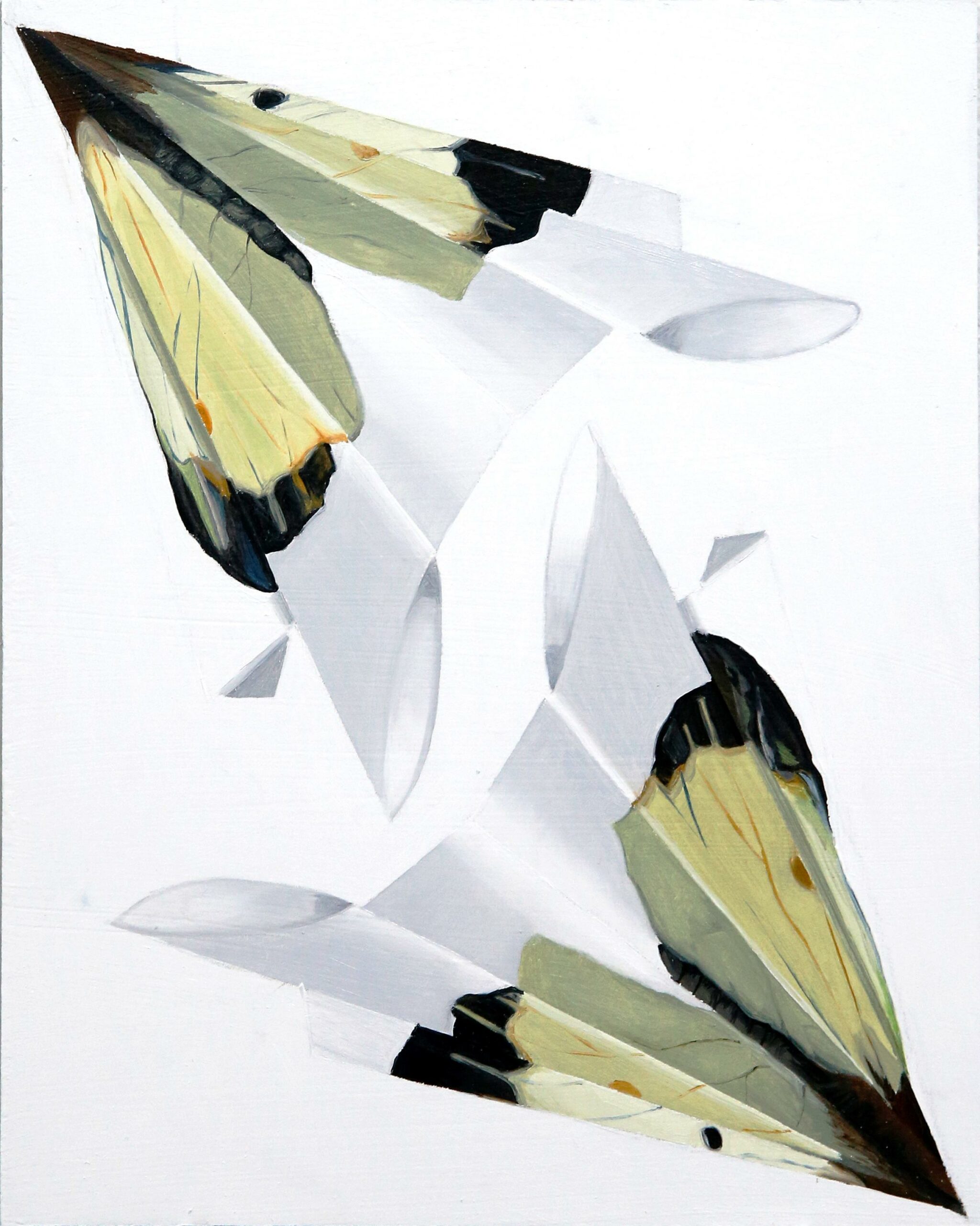 Falter V - Johanna Strobel 