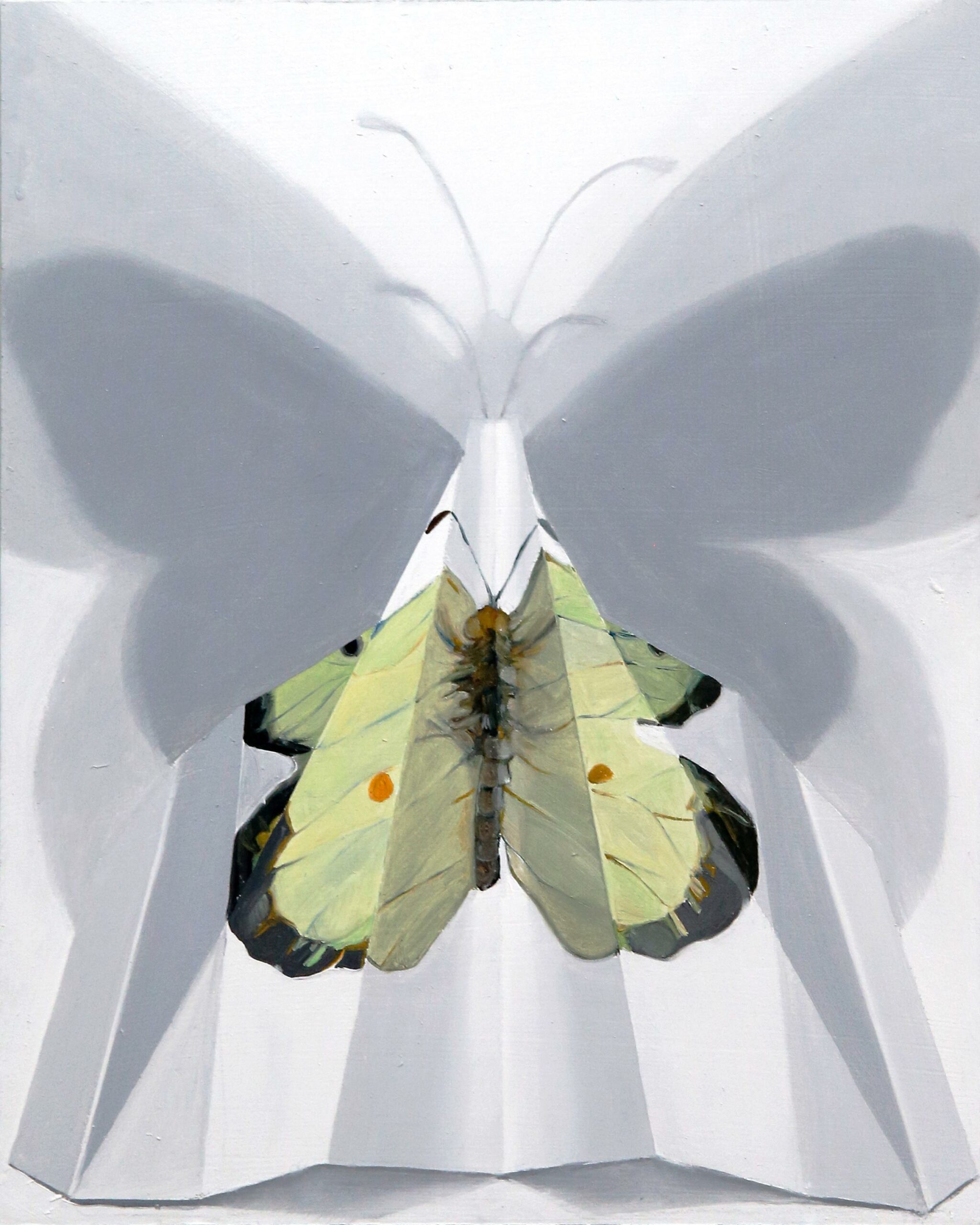 Falter VII - Johanna Strobel 