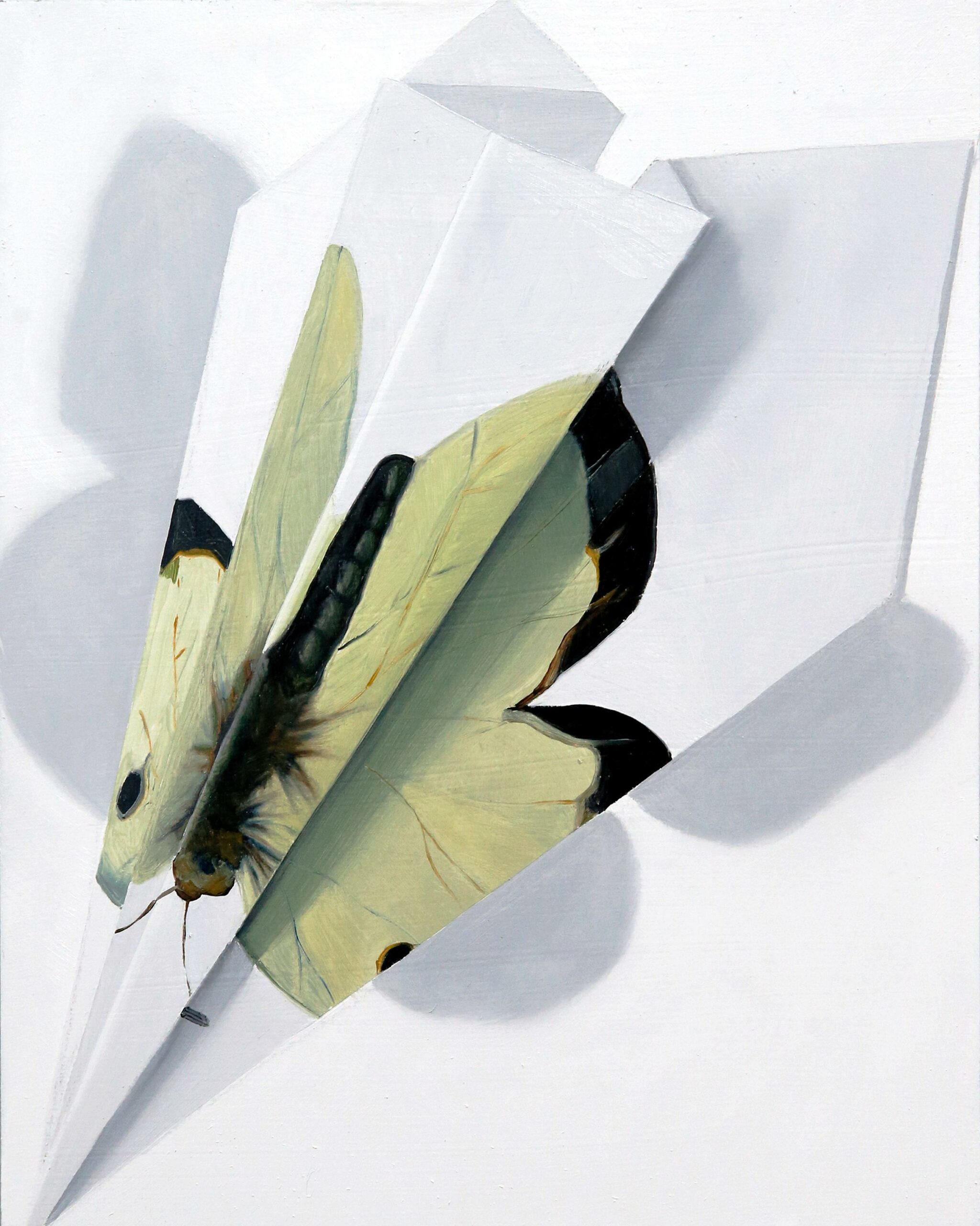 Falter VI - Johanna Strobel 