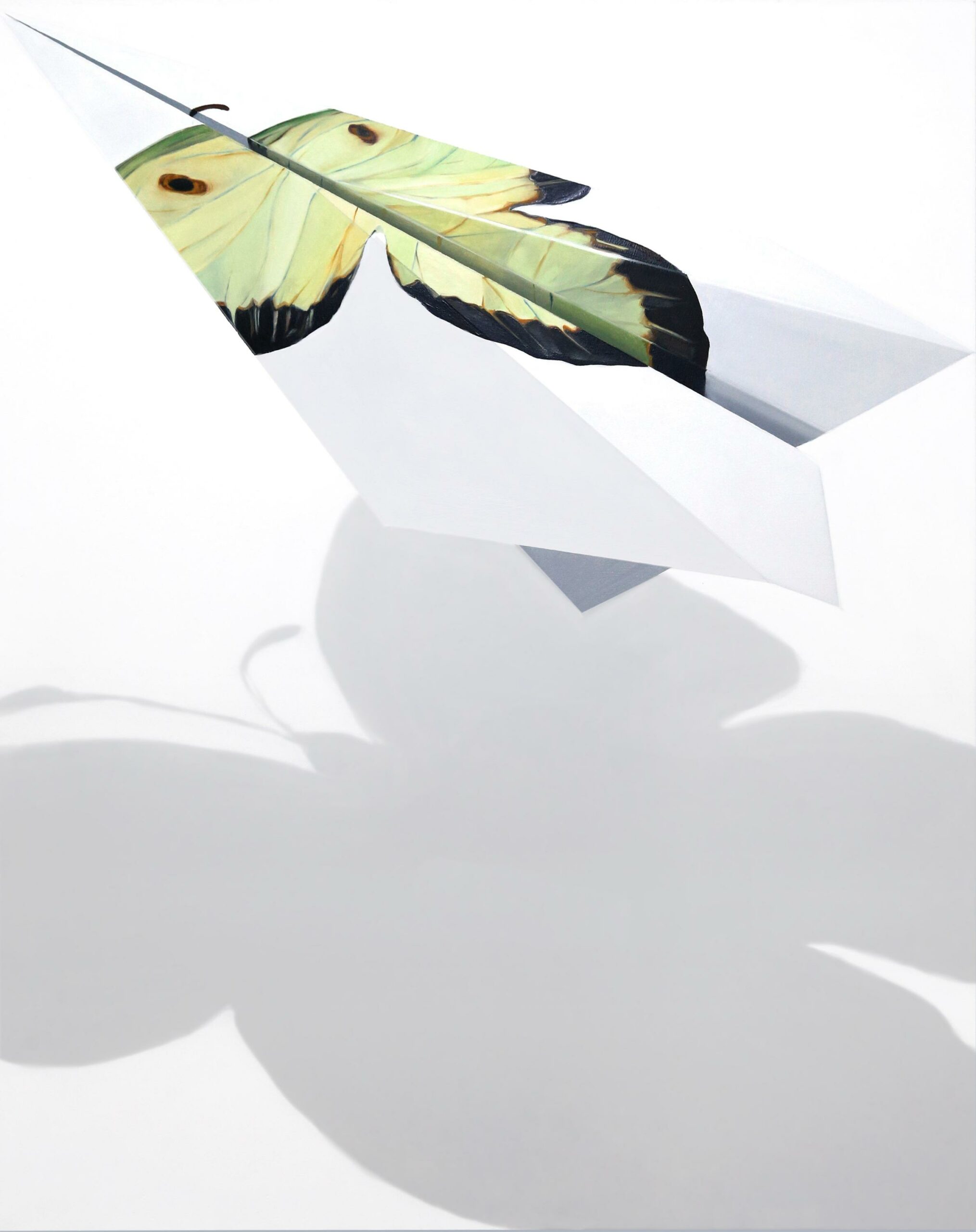 Flieger I - Johanna Strobel 