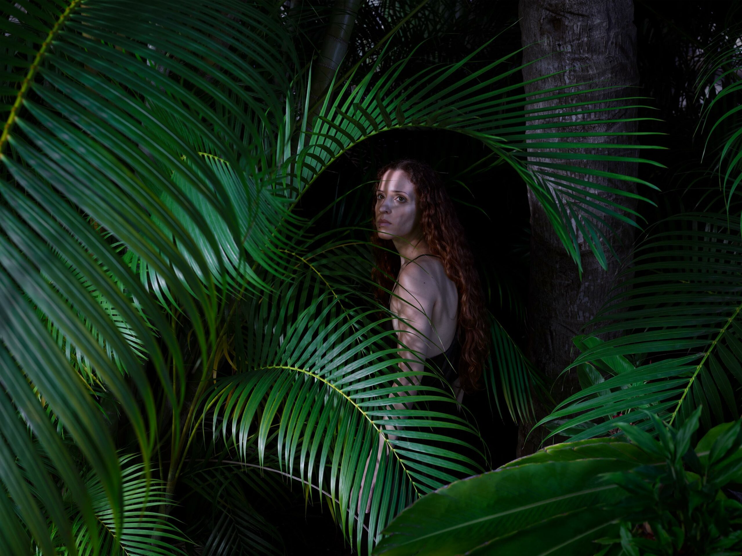 Before The Eclipse - Tania & Lazlo 