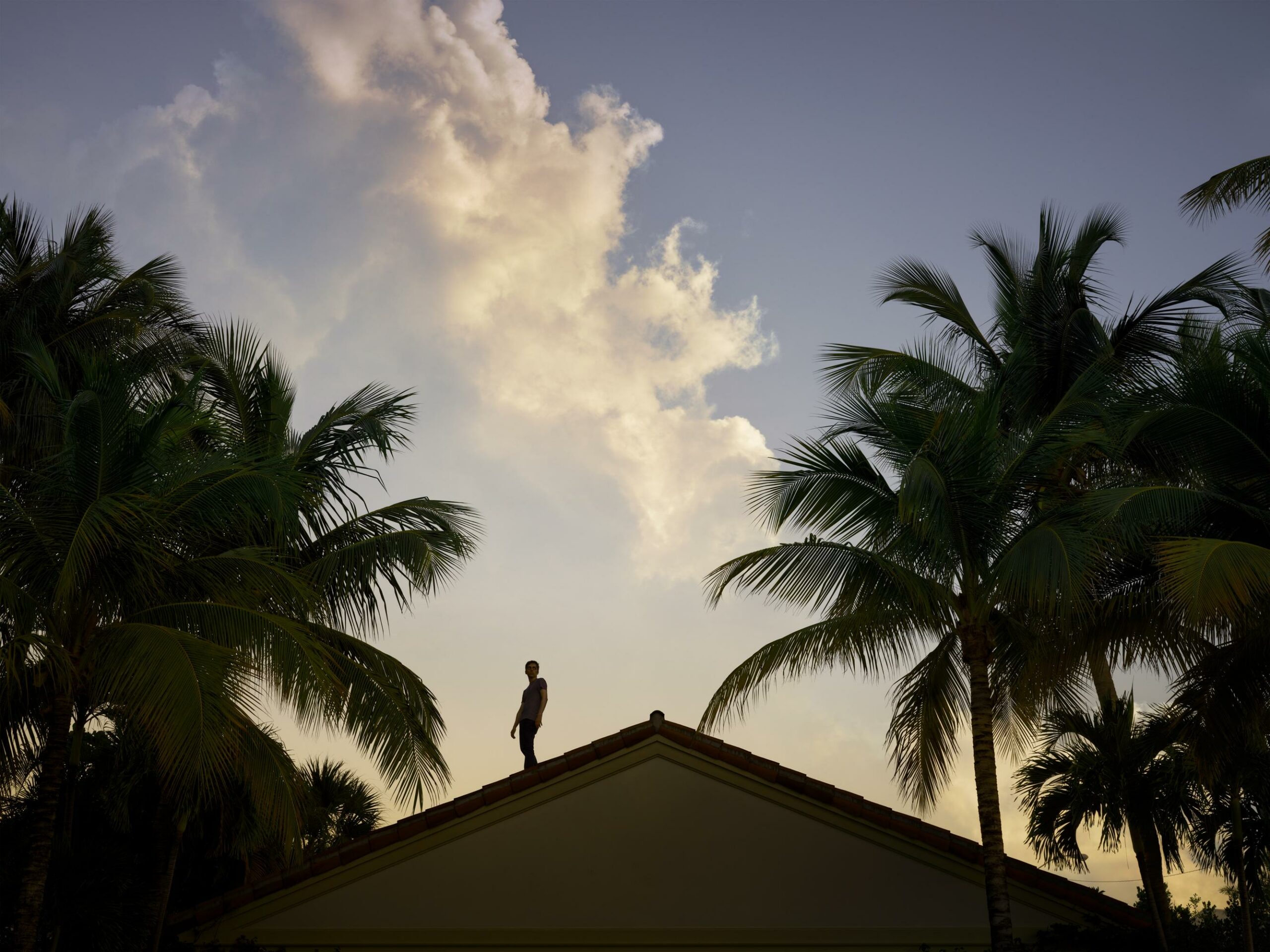 Sowing The Wind - Tania & Lazlo 