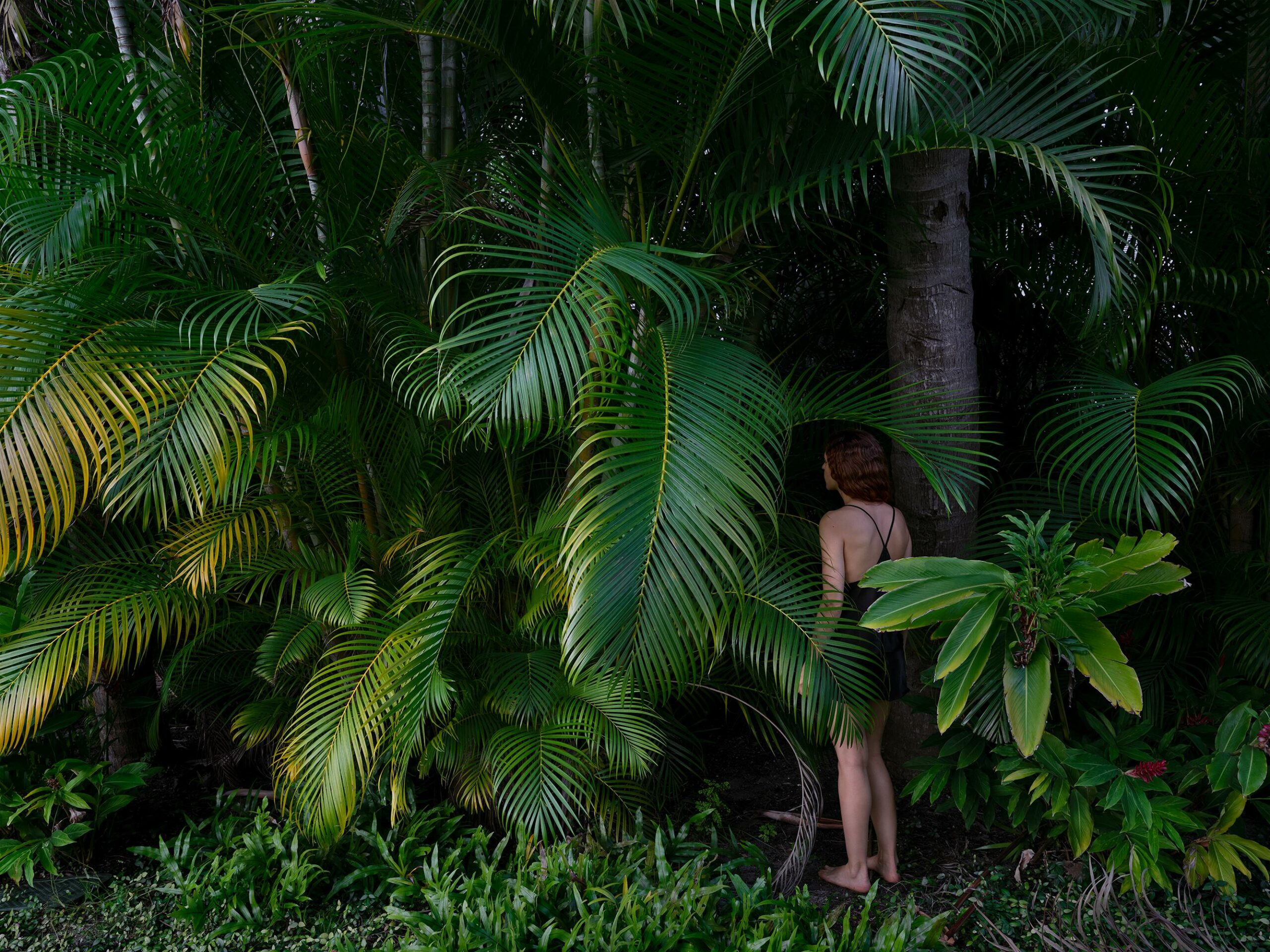 Gateway - Tania & Lazlo 