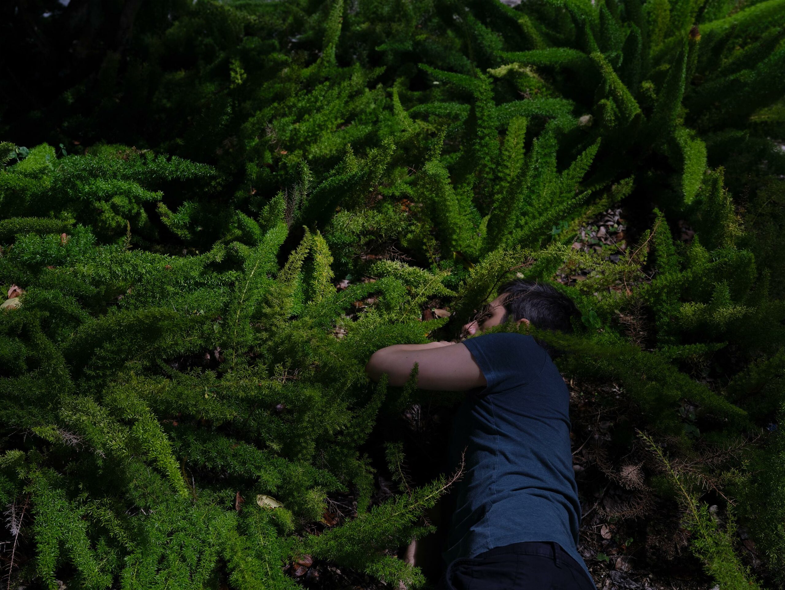 Disappearing Practice - Tania & Lazlo 