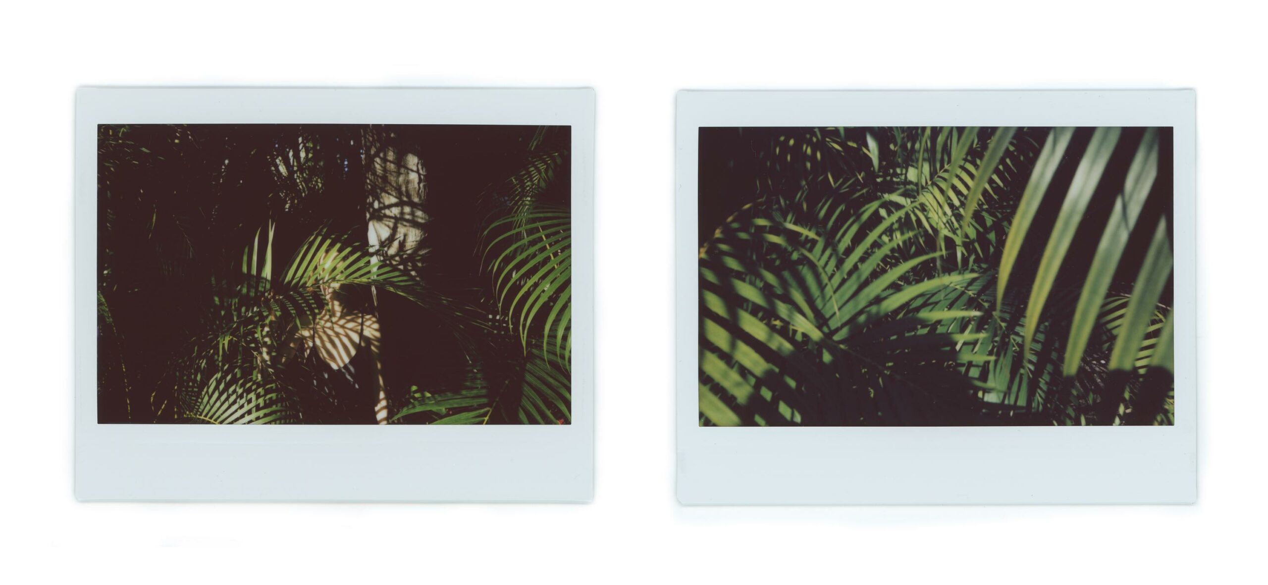 Study for Before the Eclipse - Tania & Lazlo Tania & Lazlo