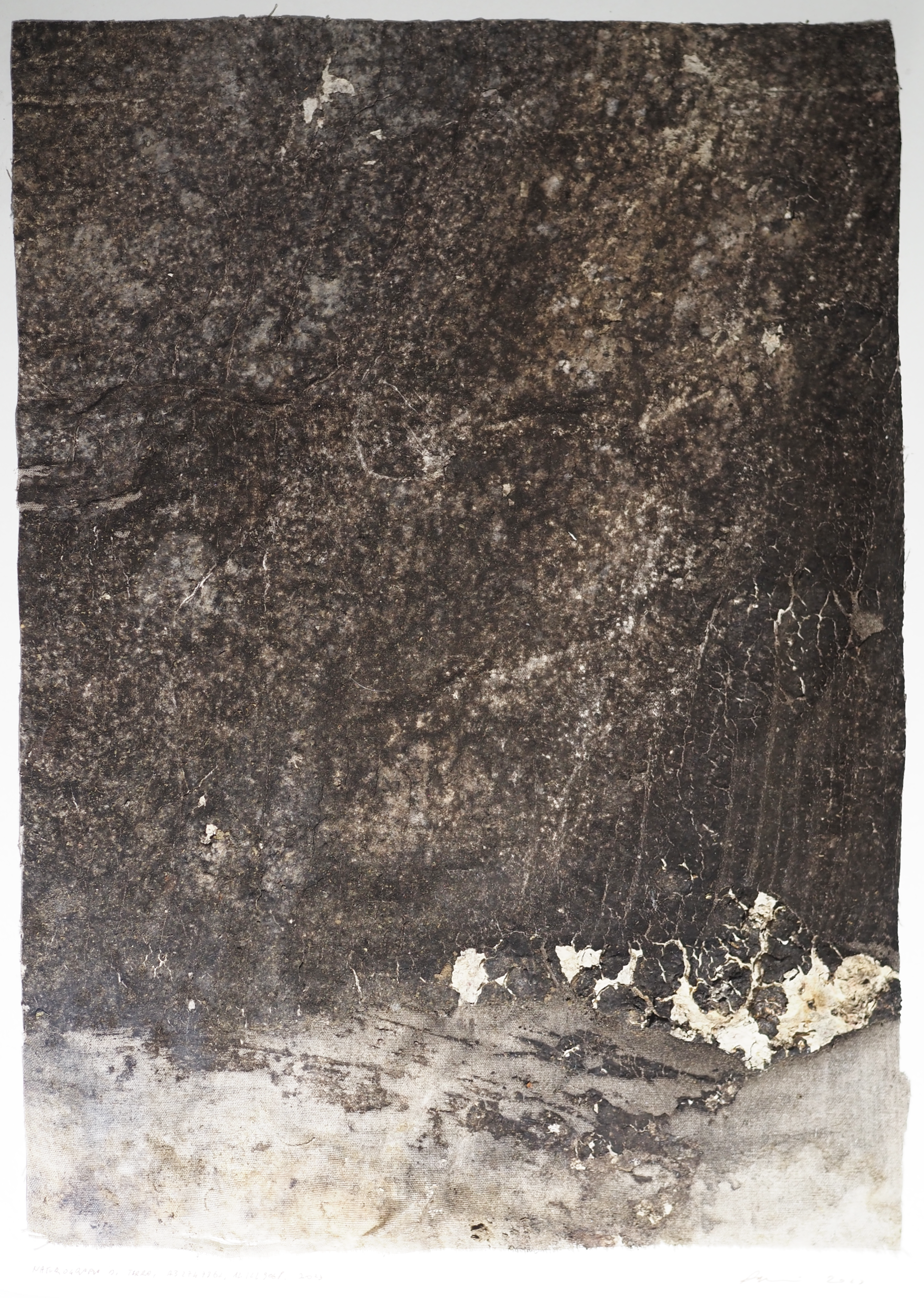 Naturografia (Terra) - Roberto Ghezzi 