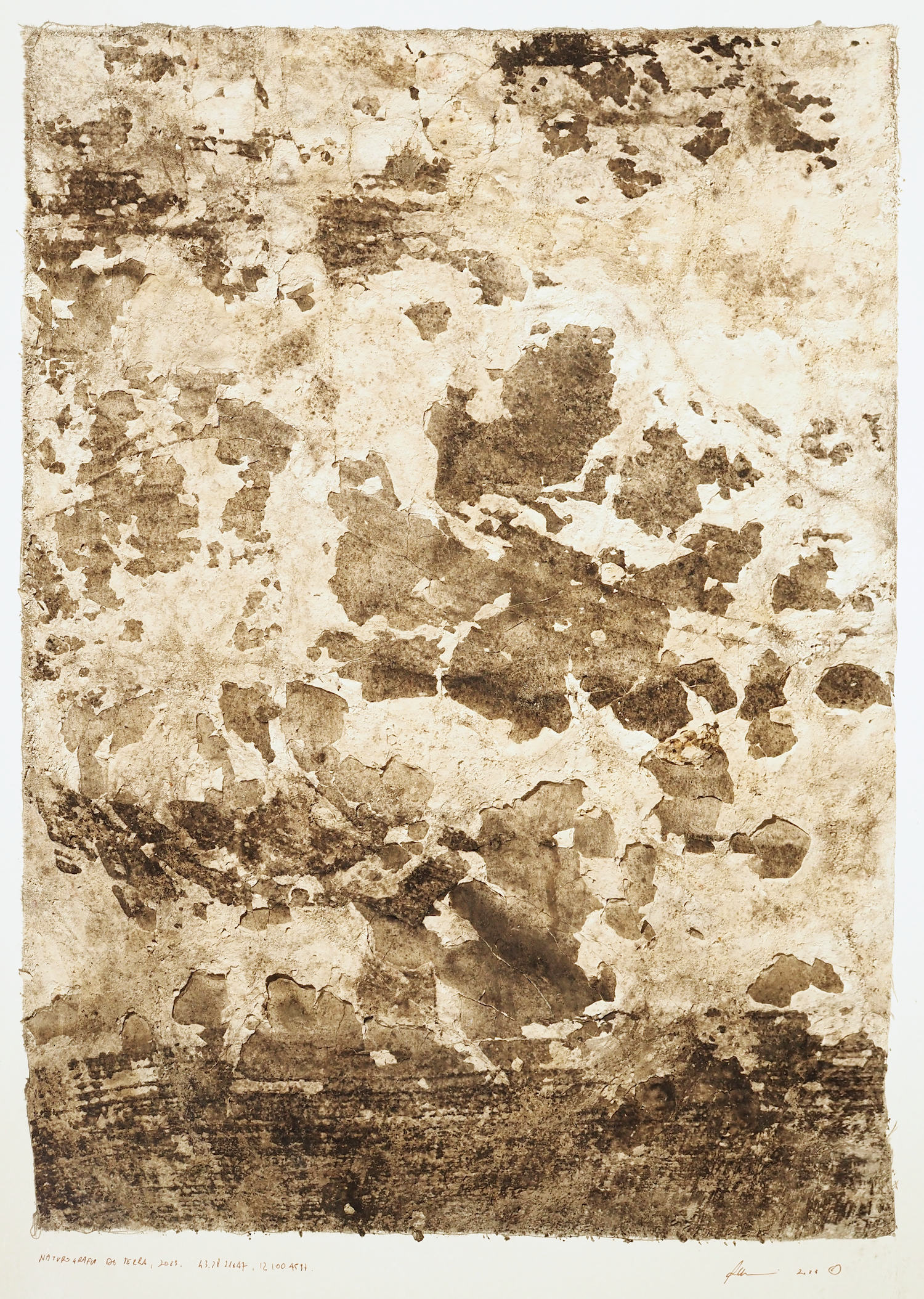 Naturografia (Terra) - Roberto Ghezzi 