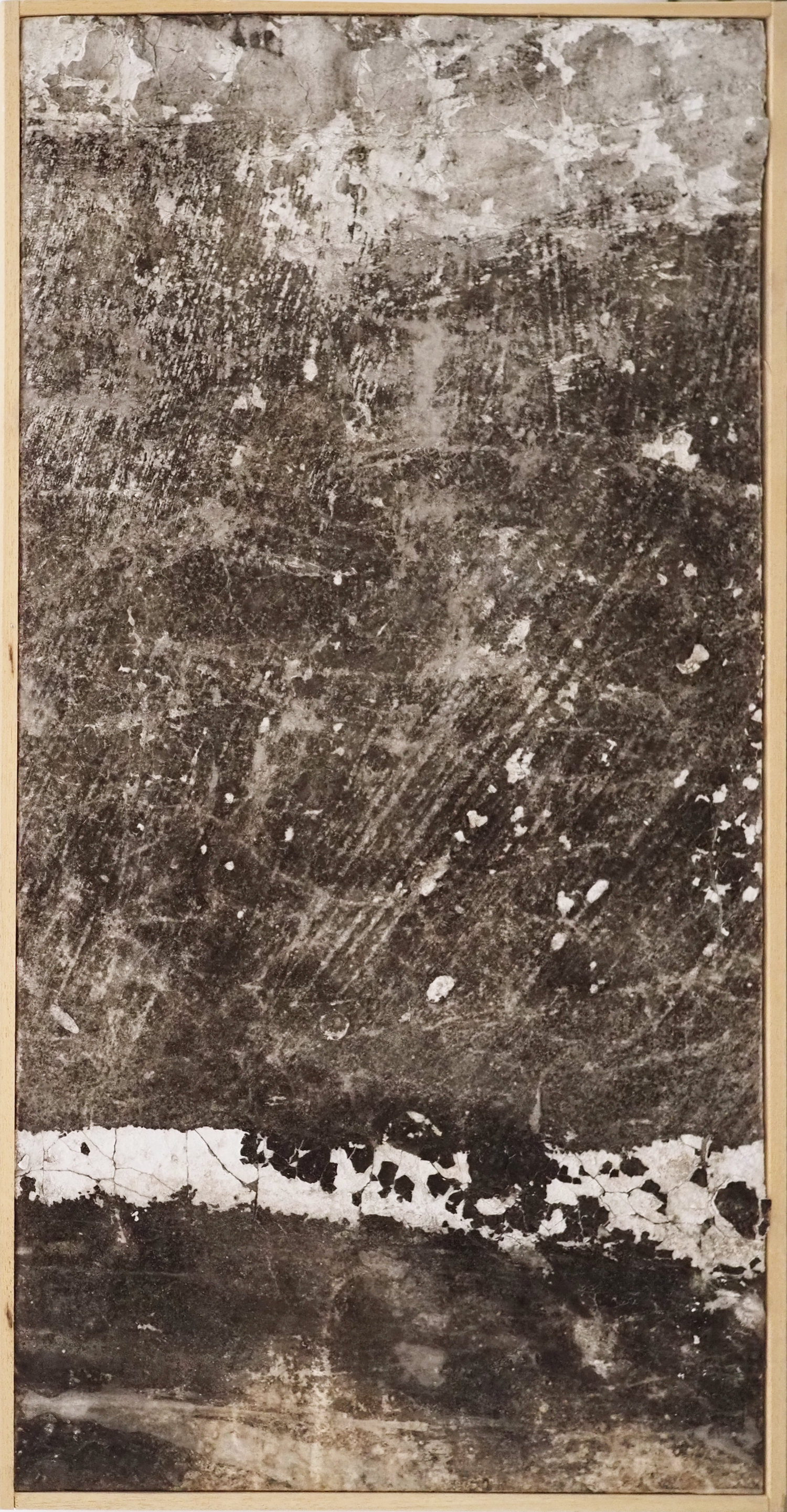 Naturografia (Forrest) - Roberto Ghezzi 