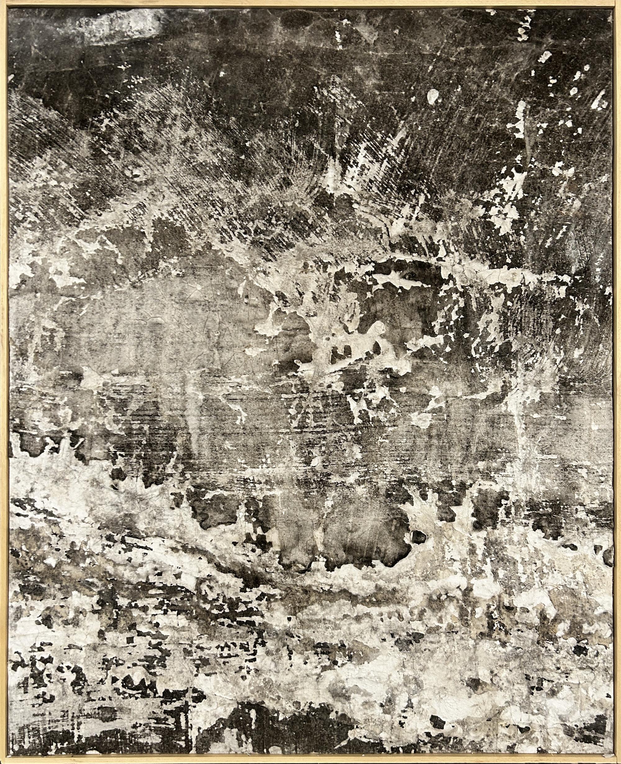 Naturografia (Forrest) - Roberto Ghezzi 