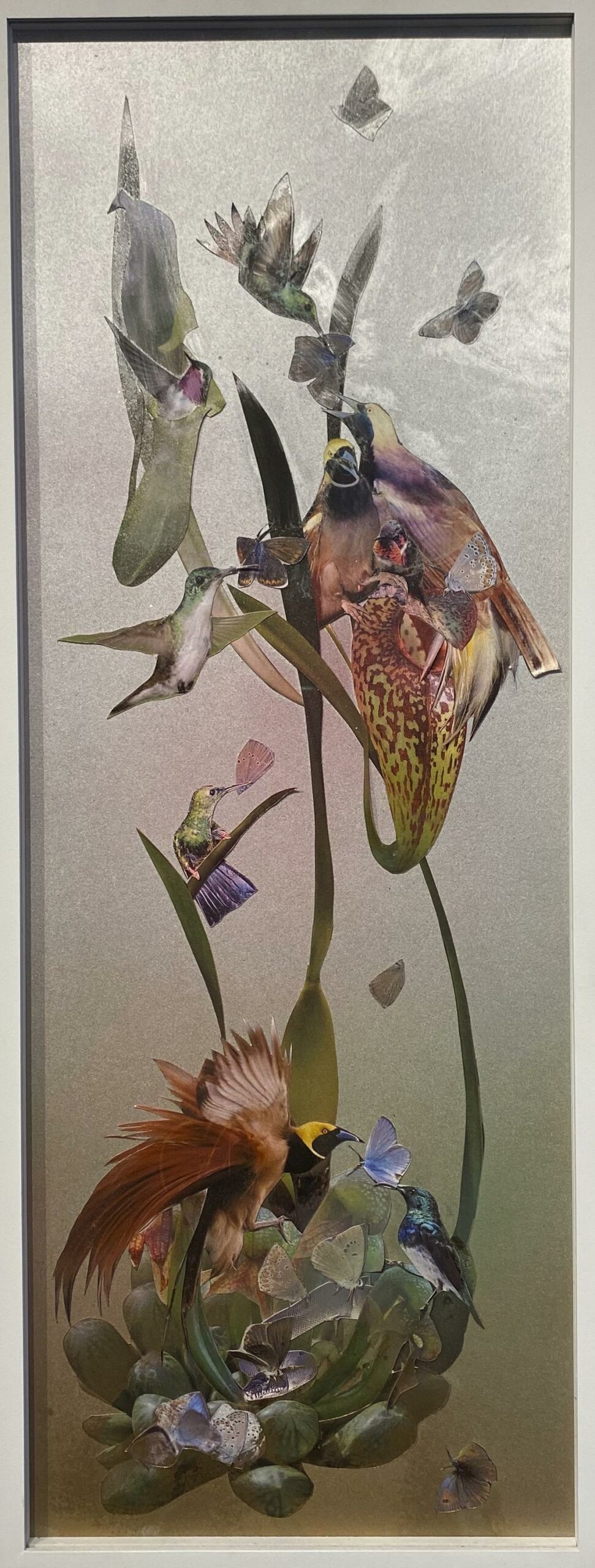 Carnivourus 10 - huber.huber 