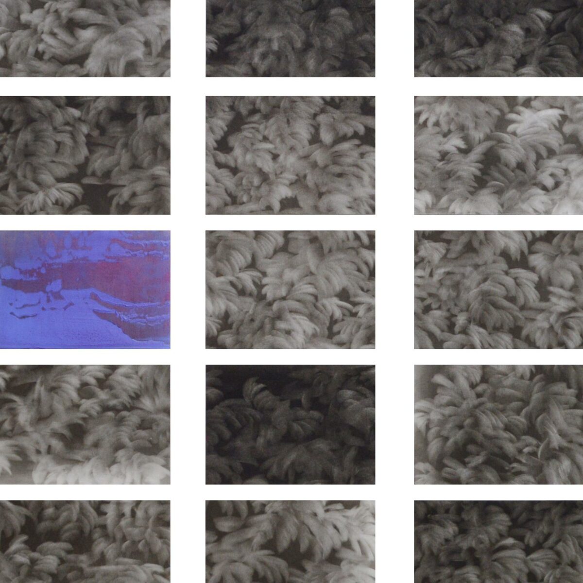 FRAGILE PARADISE - Giulia Dall'Olio 