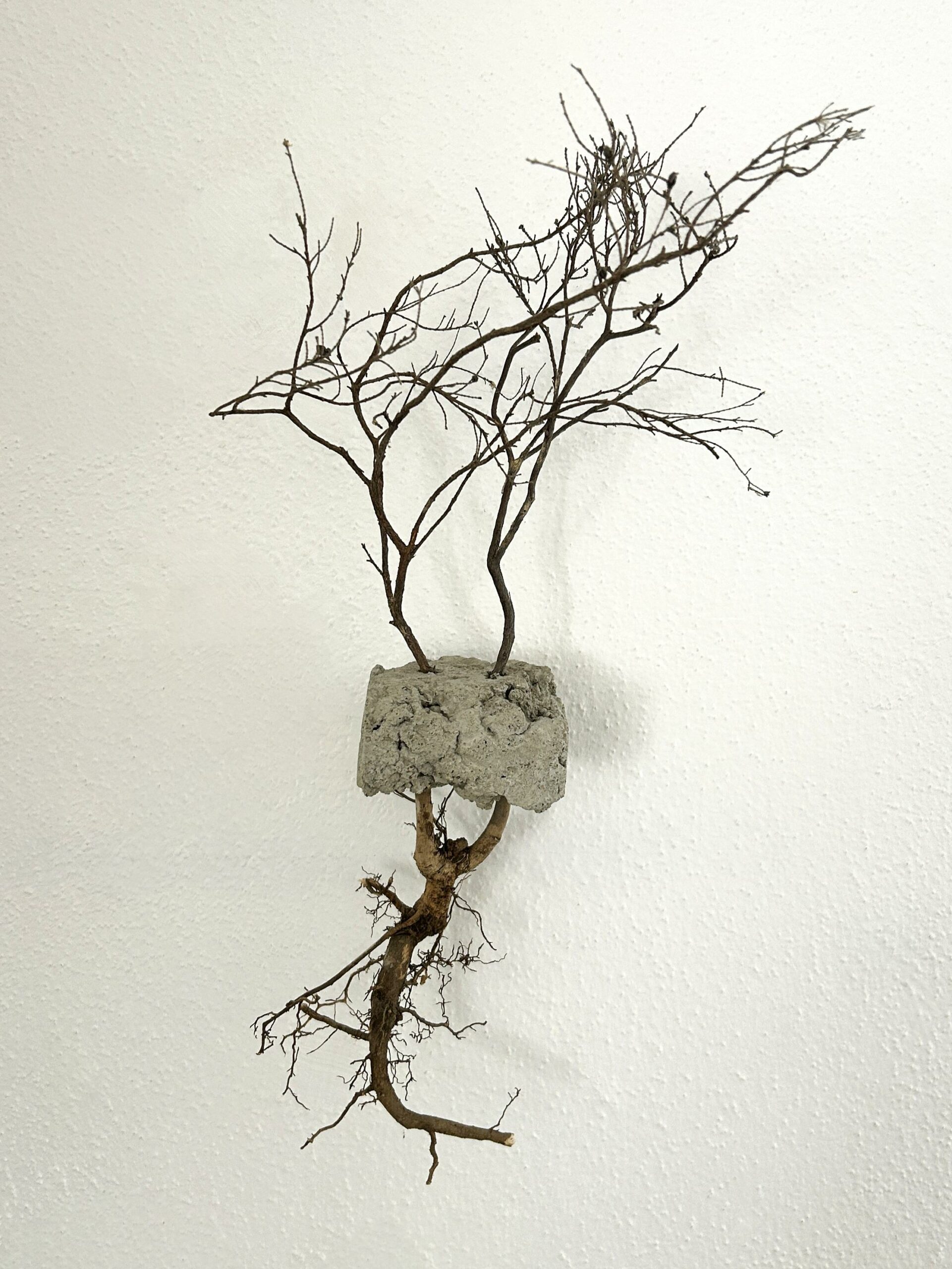 Grefti - Roberto Ghezzi 