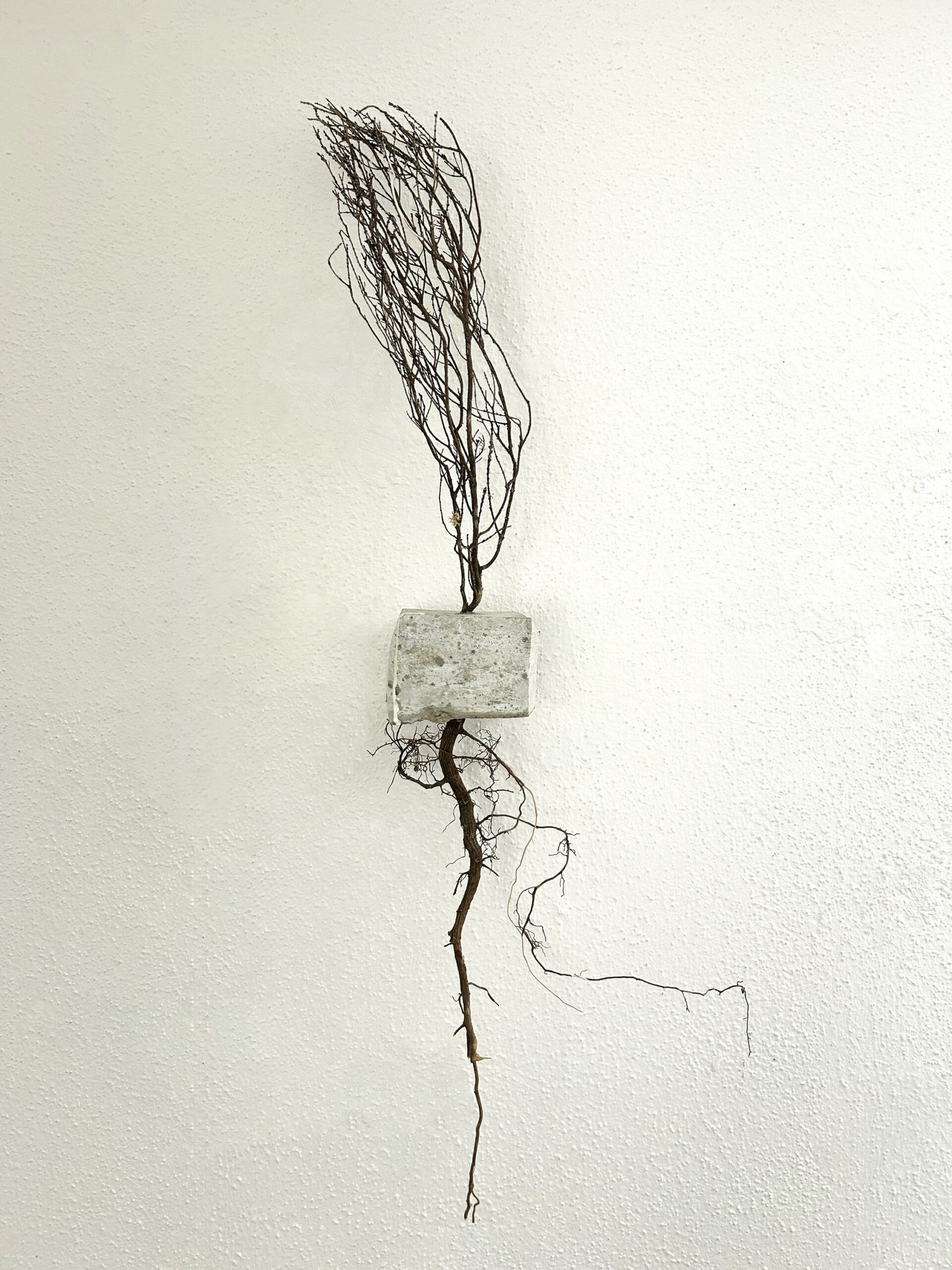 Grefti - Roberto Ghezzi 