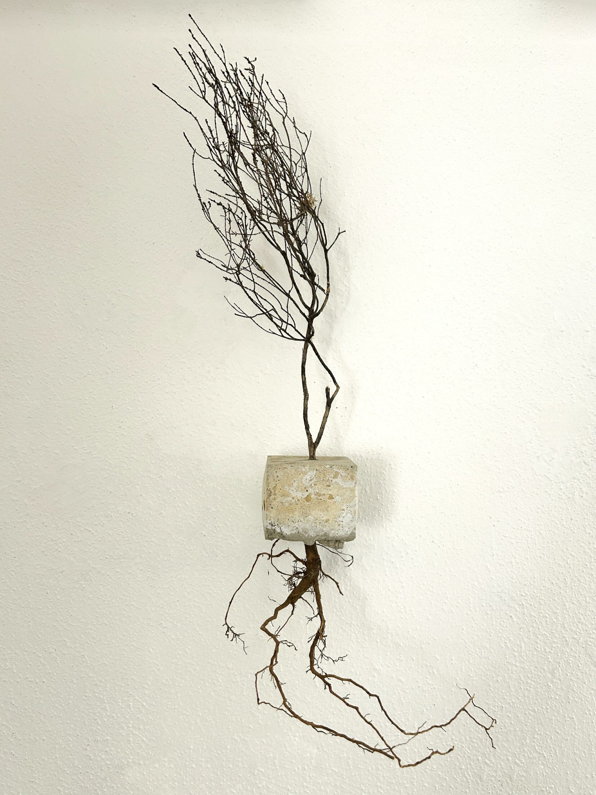 Grefti - Roberto Ghezzi 