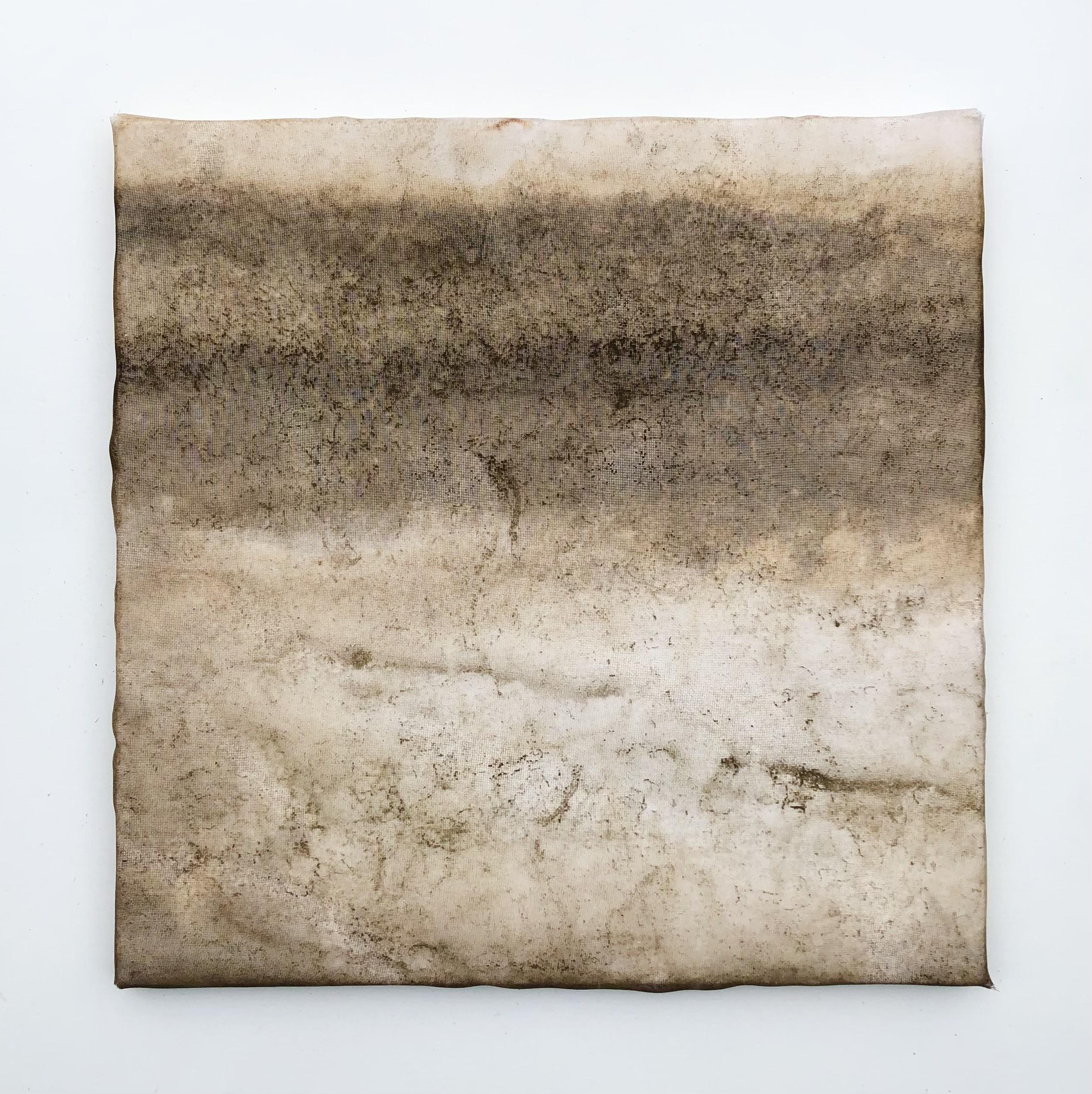 Naturografia di Fiume - Roberto Ghezzi 