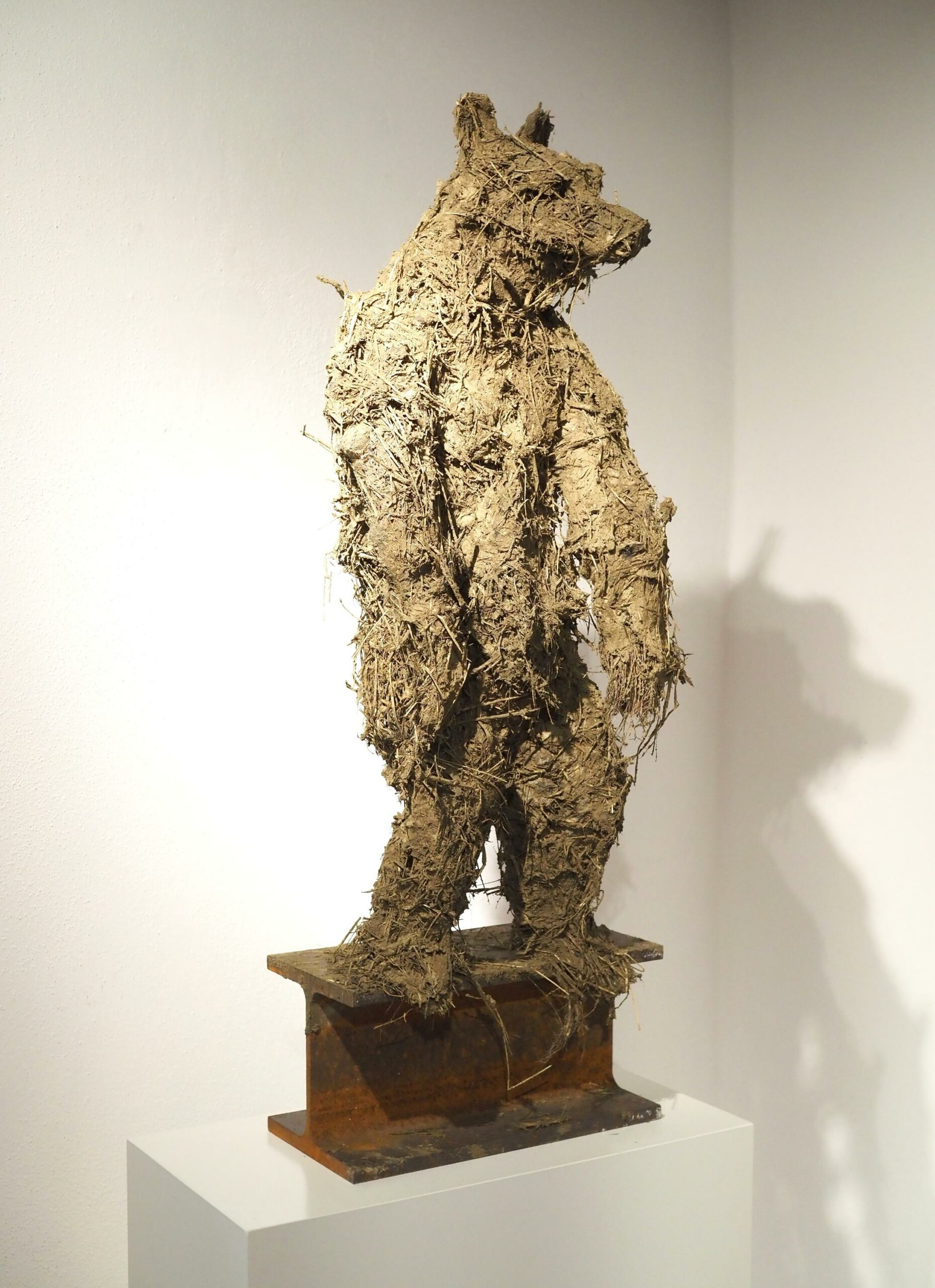 Orso - Antonio Massarutto 