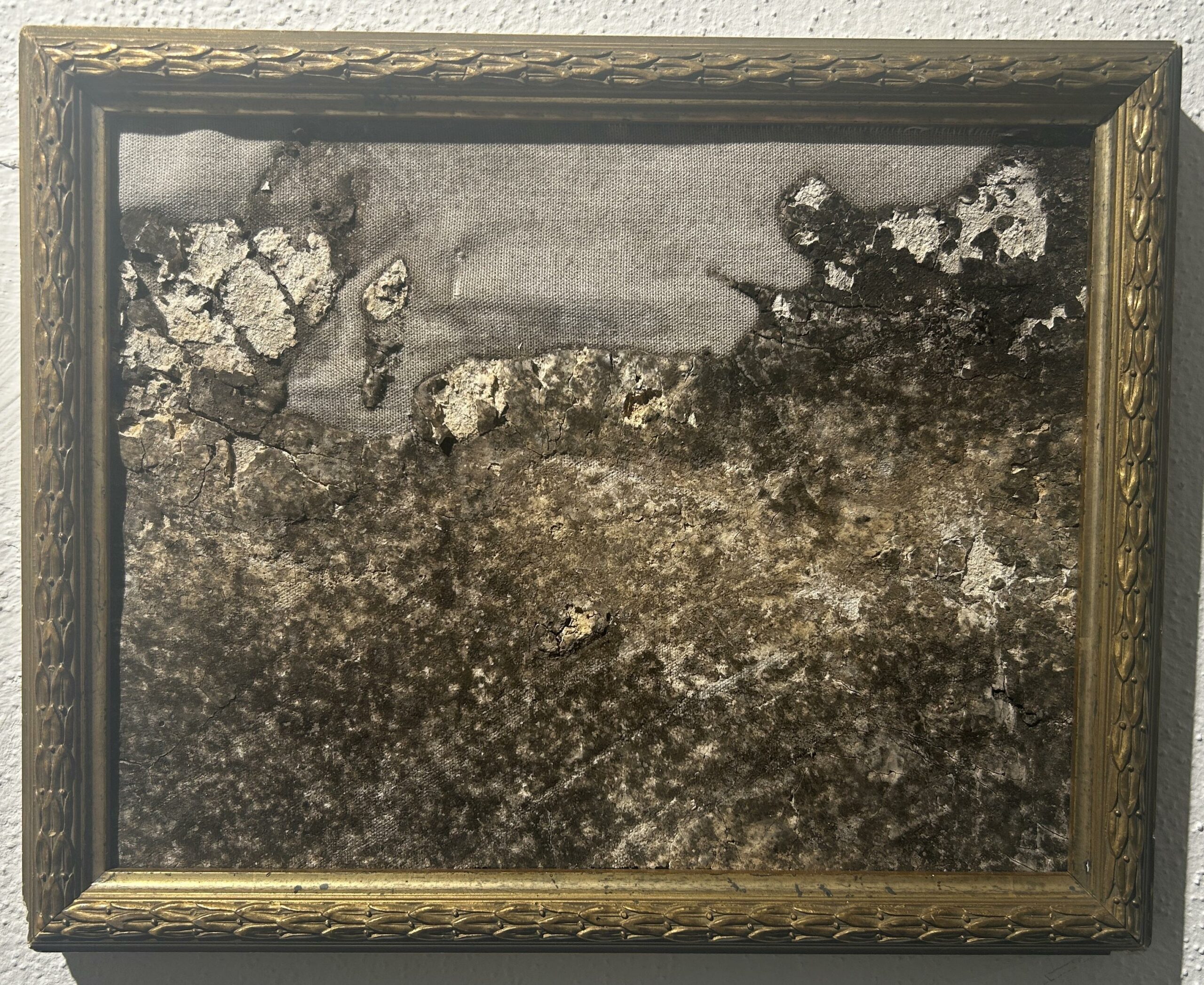 Naturografia di Terra - Roberto Ghezzi 