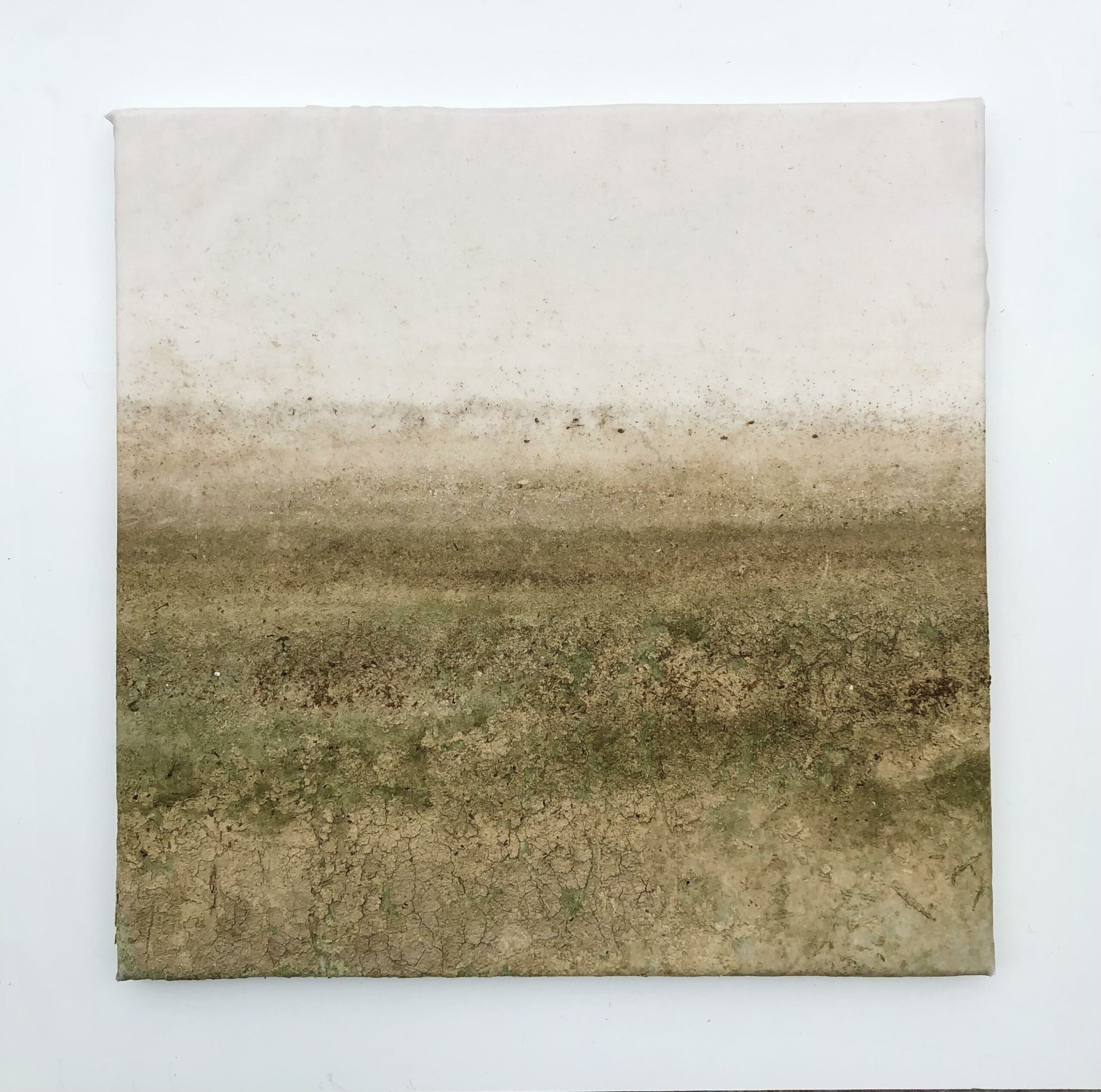 Naturografia di Lago - Roberto Ghezzi 