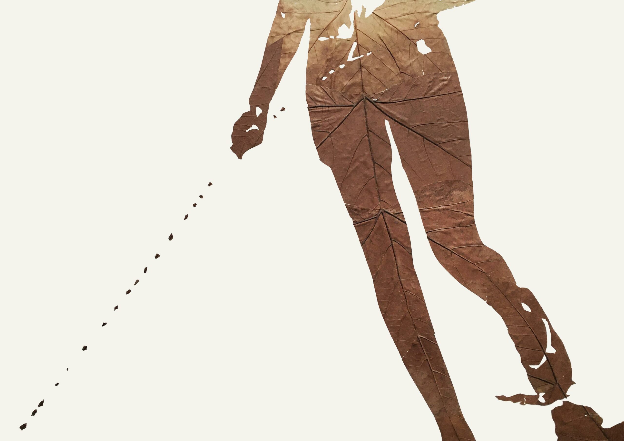 Lichtbild 2017:30 - Michael Schuster 