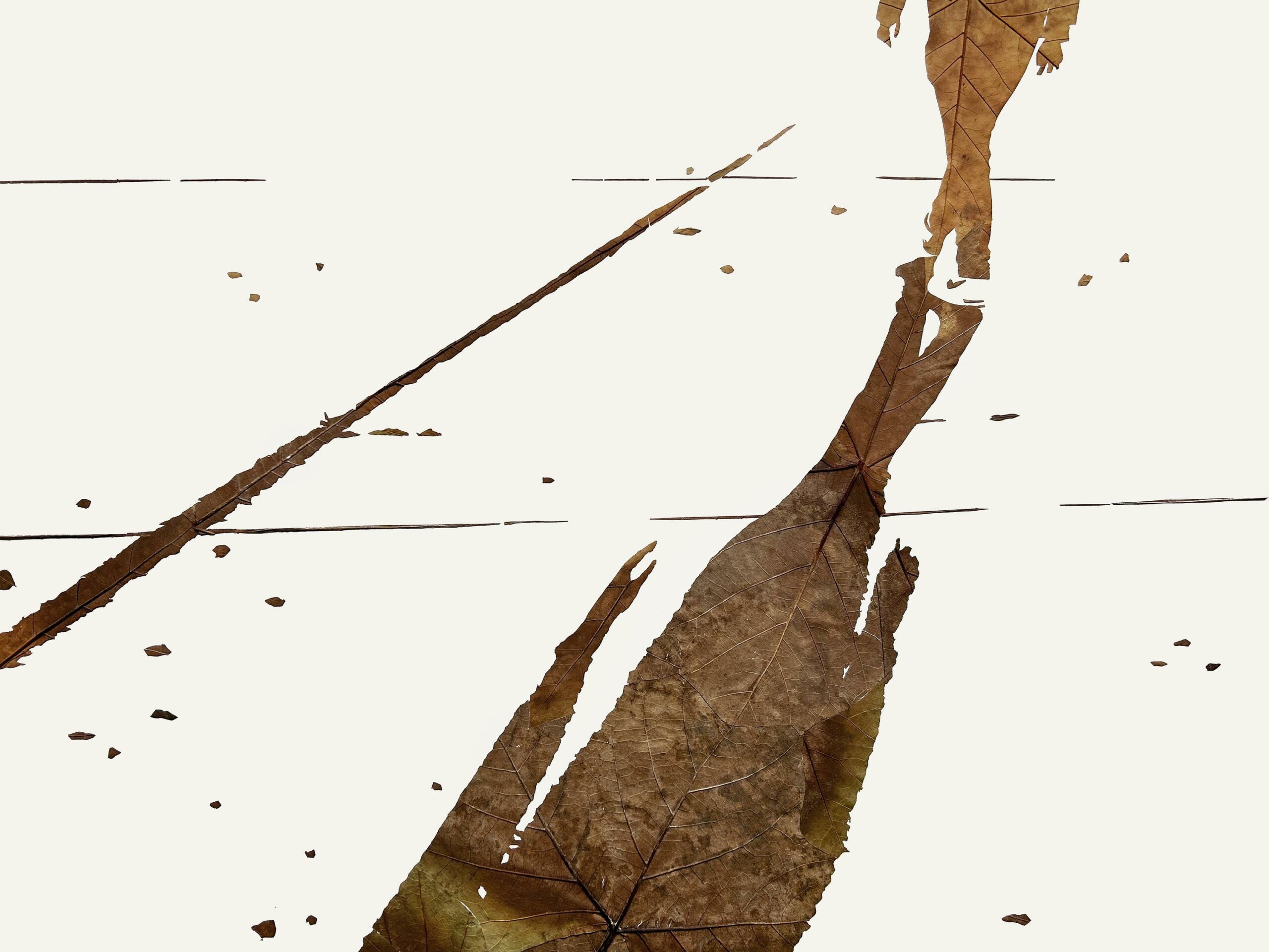 Lichtbild 2020/47 - Michael Schuster 