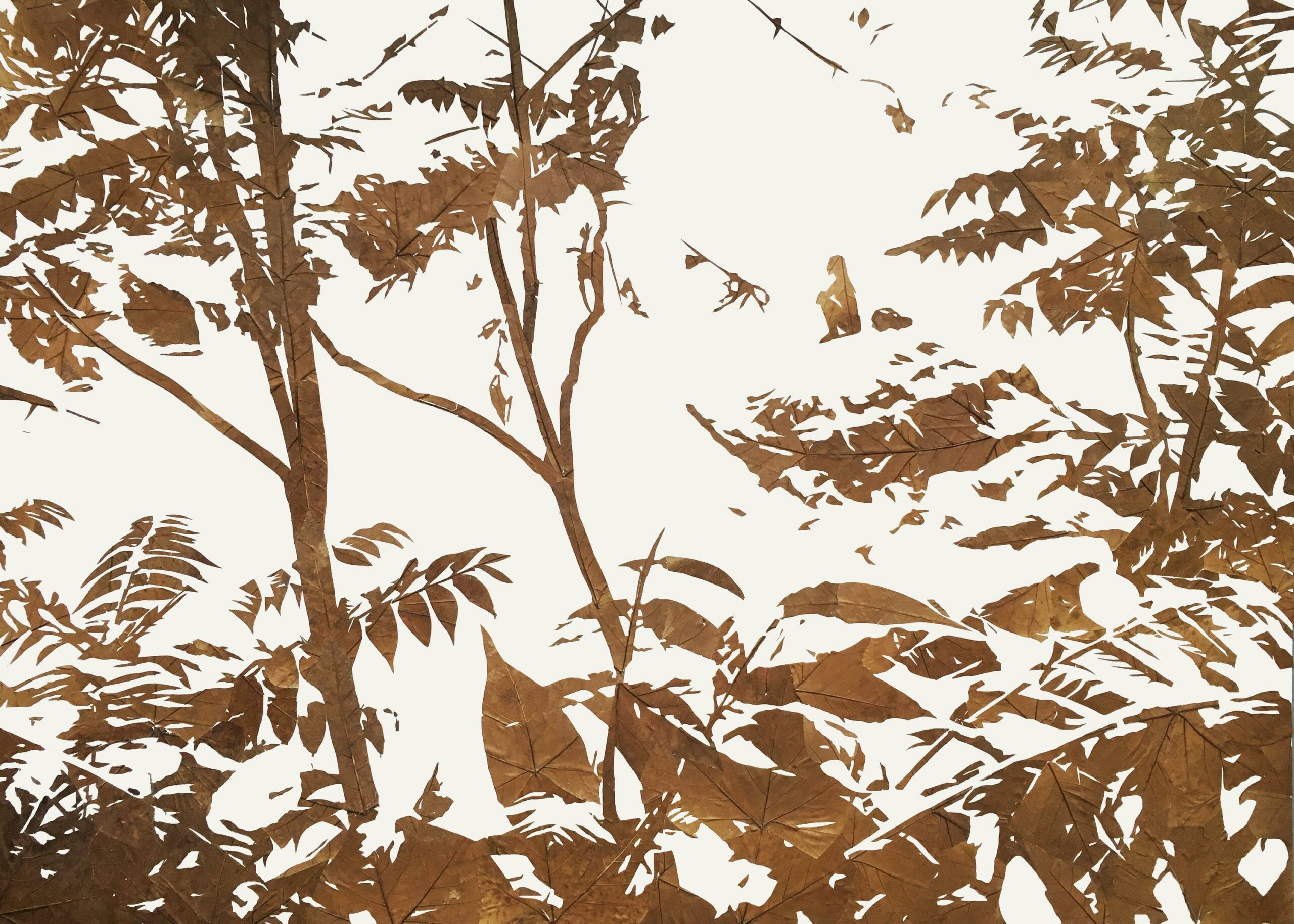 Lichtbild 2021/30 - Michael Schuster 