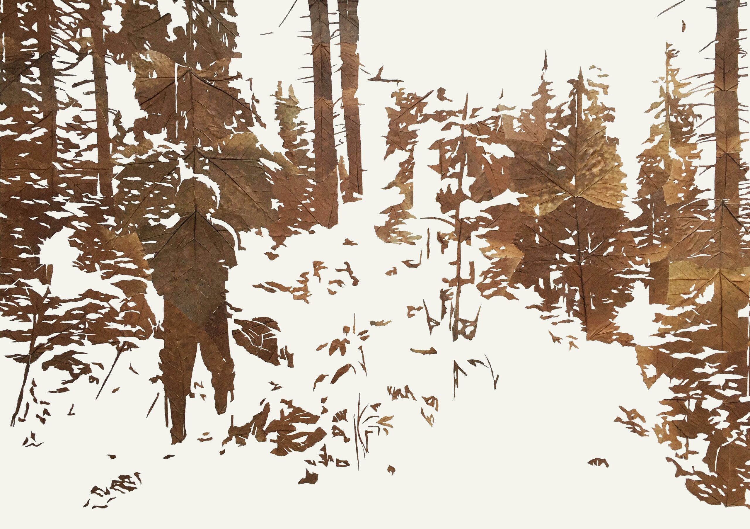 Lichtbild 2022/03 - Michael Schuster 