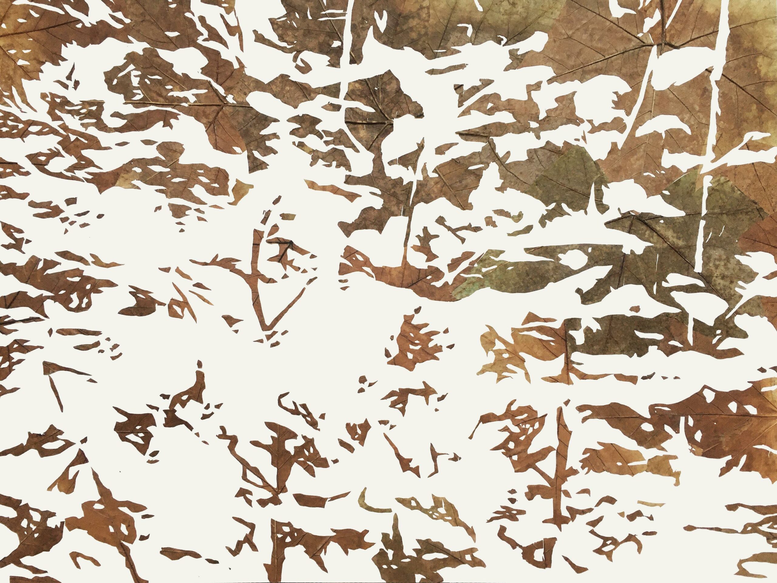 Lichtbild 2022/44 - Michael Schuster 